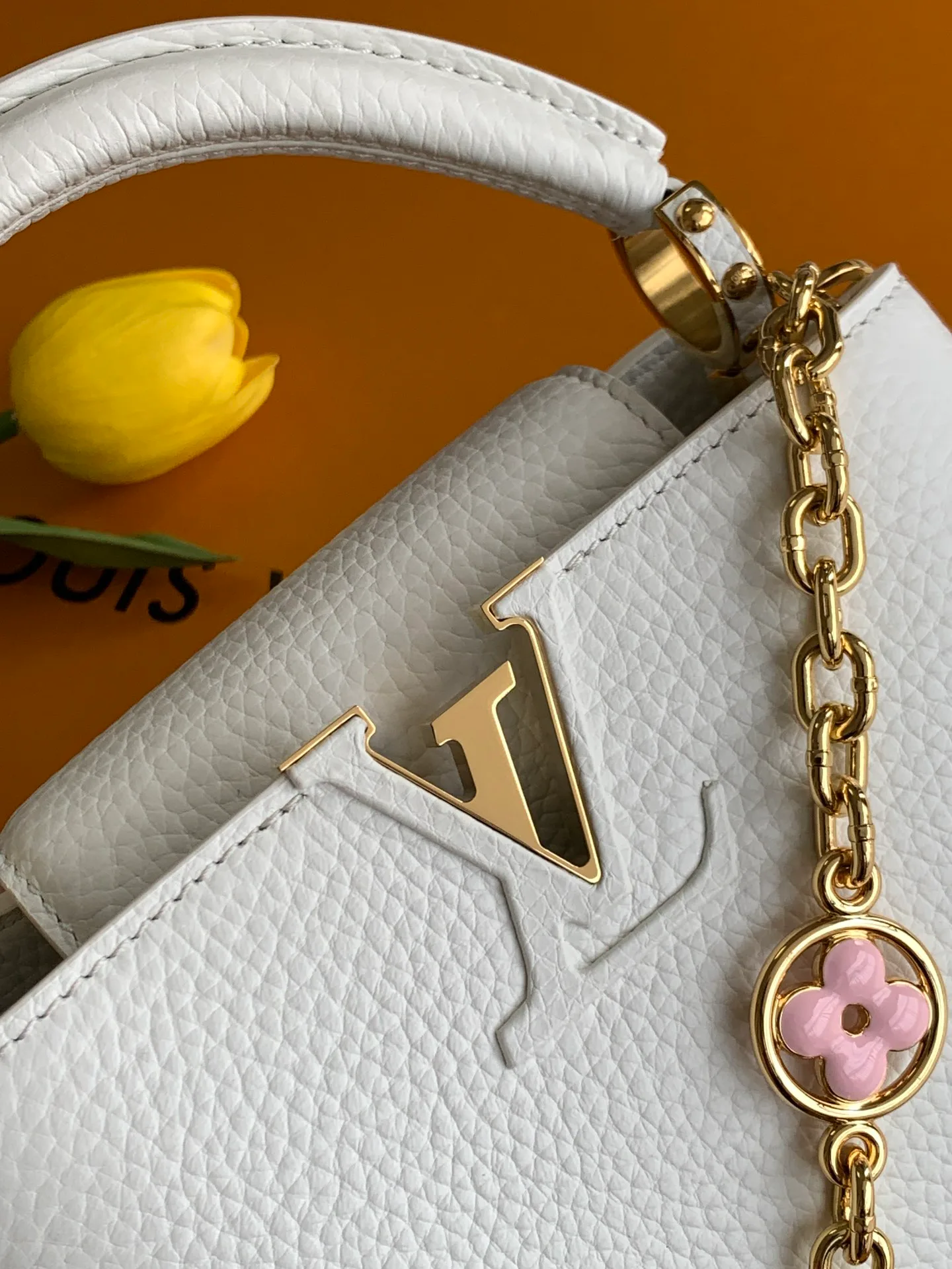 Women's Classic Handbags LOUIS VUITTON 18520894