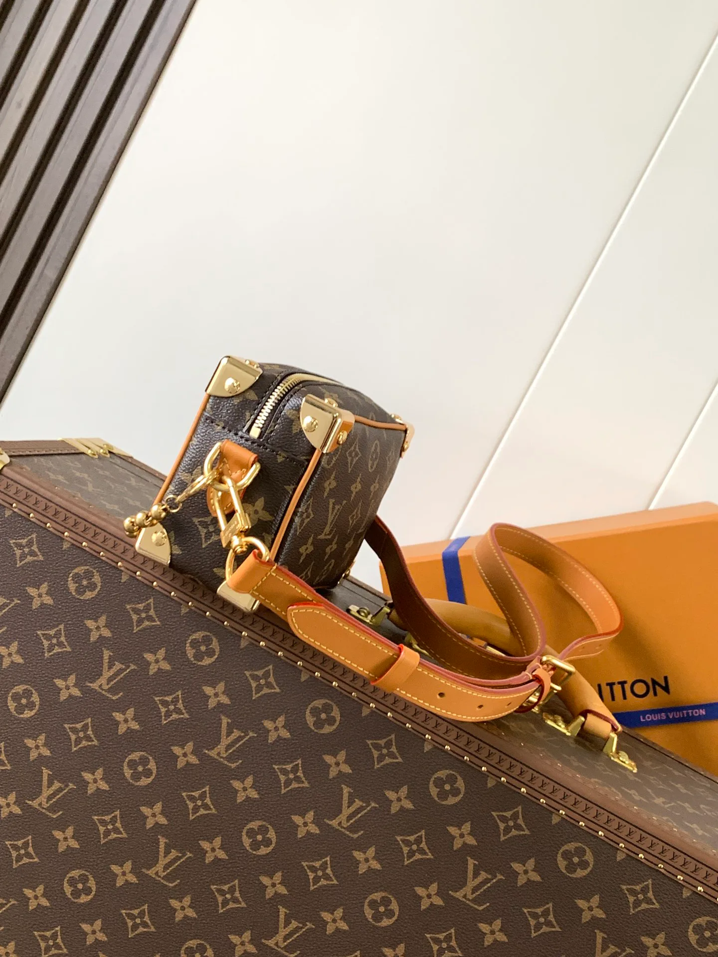 Классические Сумки Женские Louis Vuitton 18664399