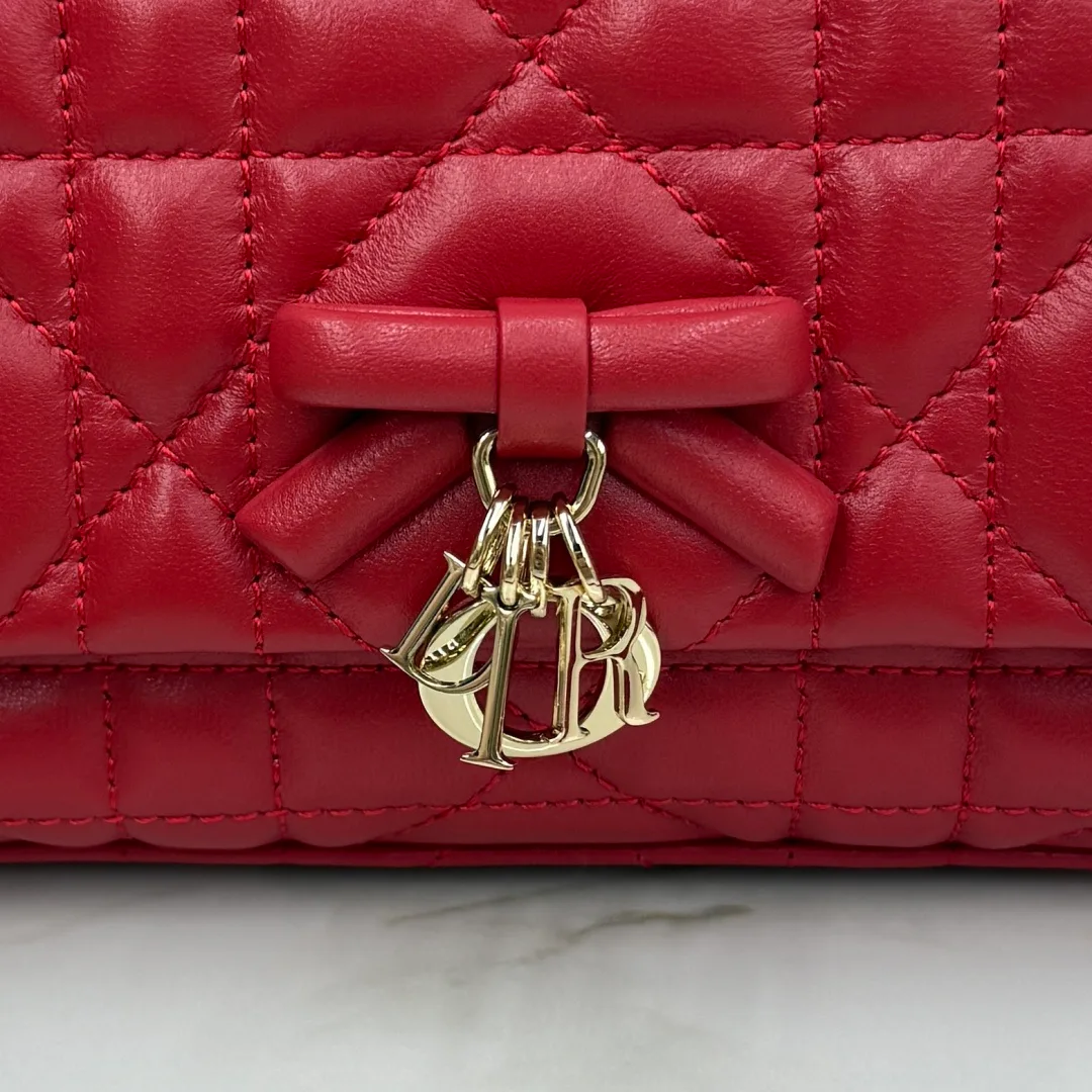 Women's Classic Handbags CHRISTIAN DIOR 16848238