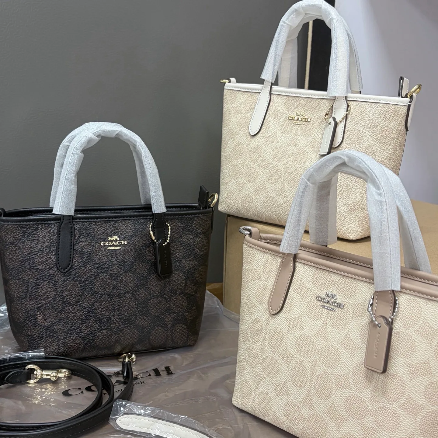 Women's Classic Handbags COACH 17961023
