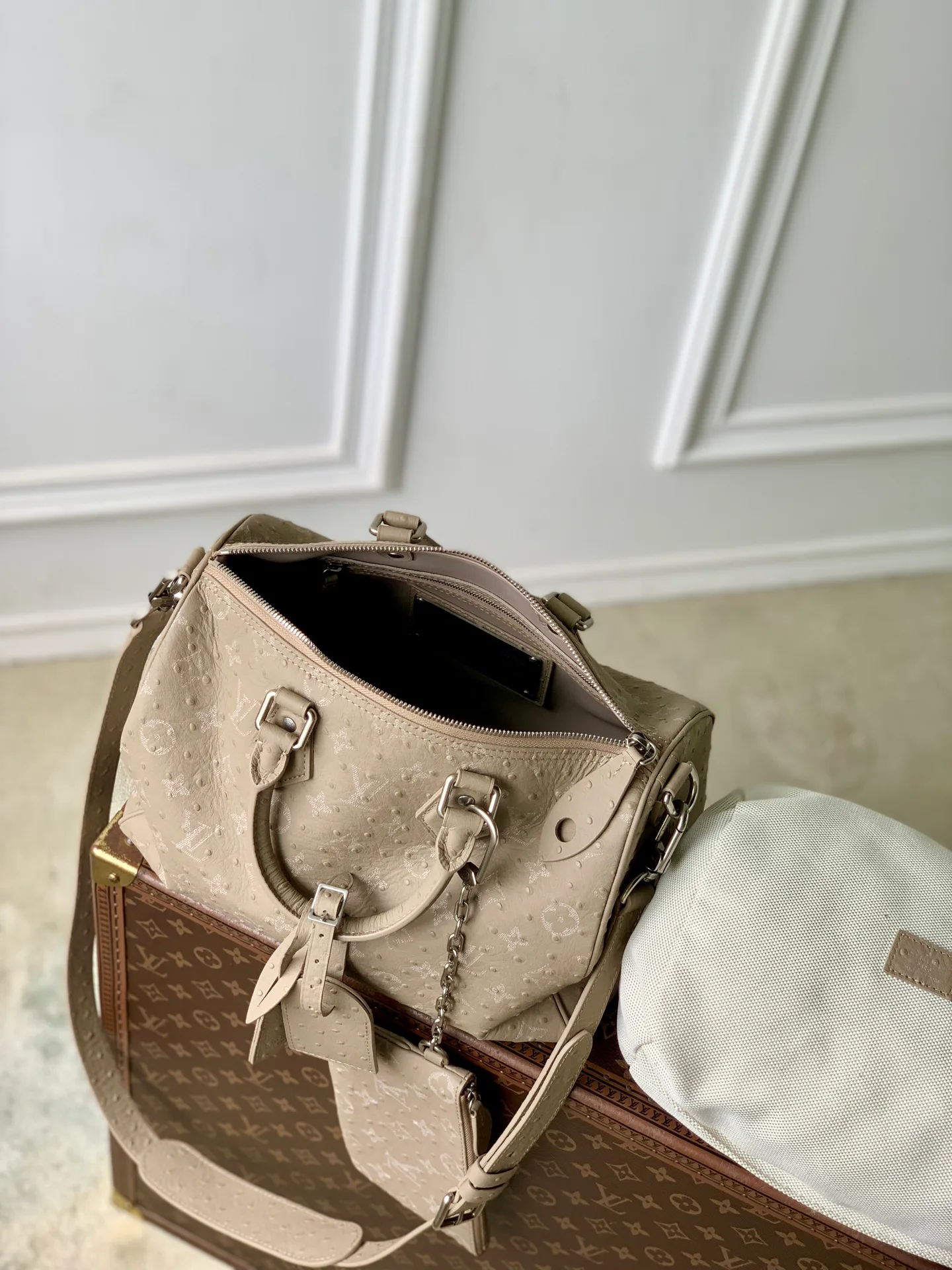 Women's Classic Handbags LOUIS VUITTON 18147441