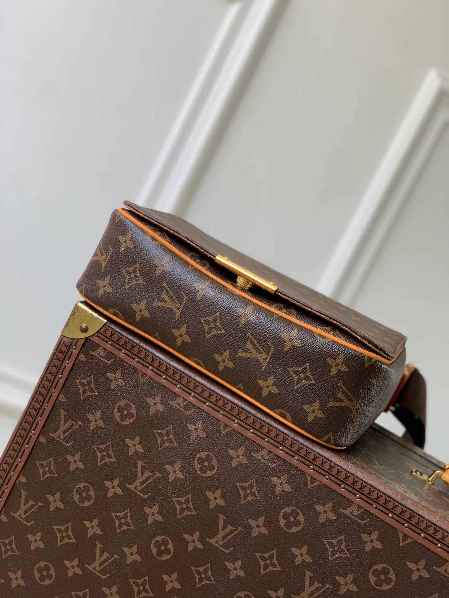 Women's Classic Handbags LOUIS VUITTON 18147473