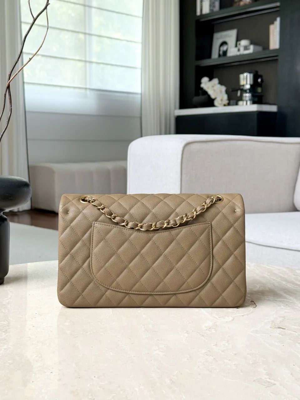 Women's Classic Handbags CHANEL 17814826
