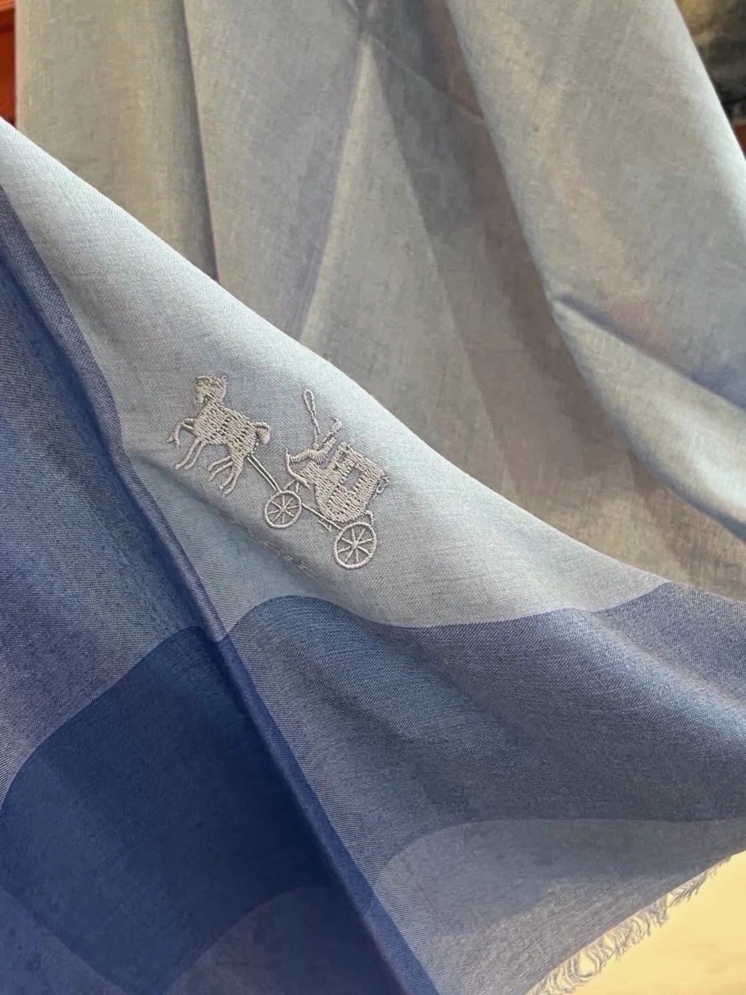 Scarves COACH 18476705