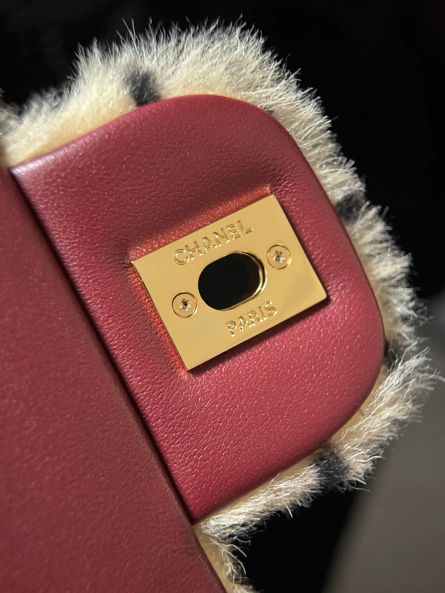 Women's Classic Handbags CHANEL 17861284