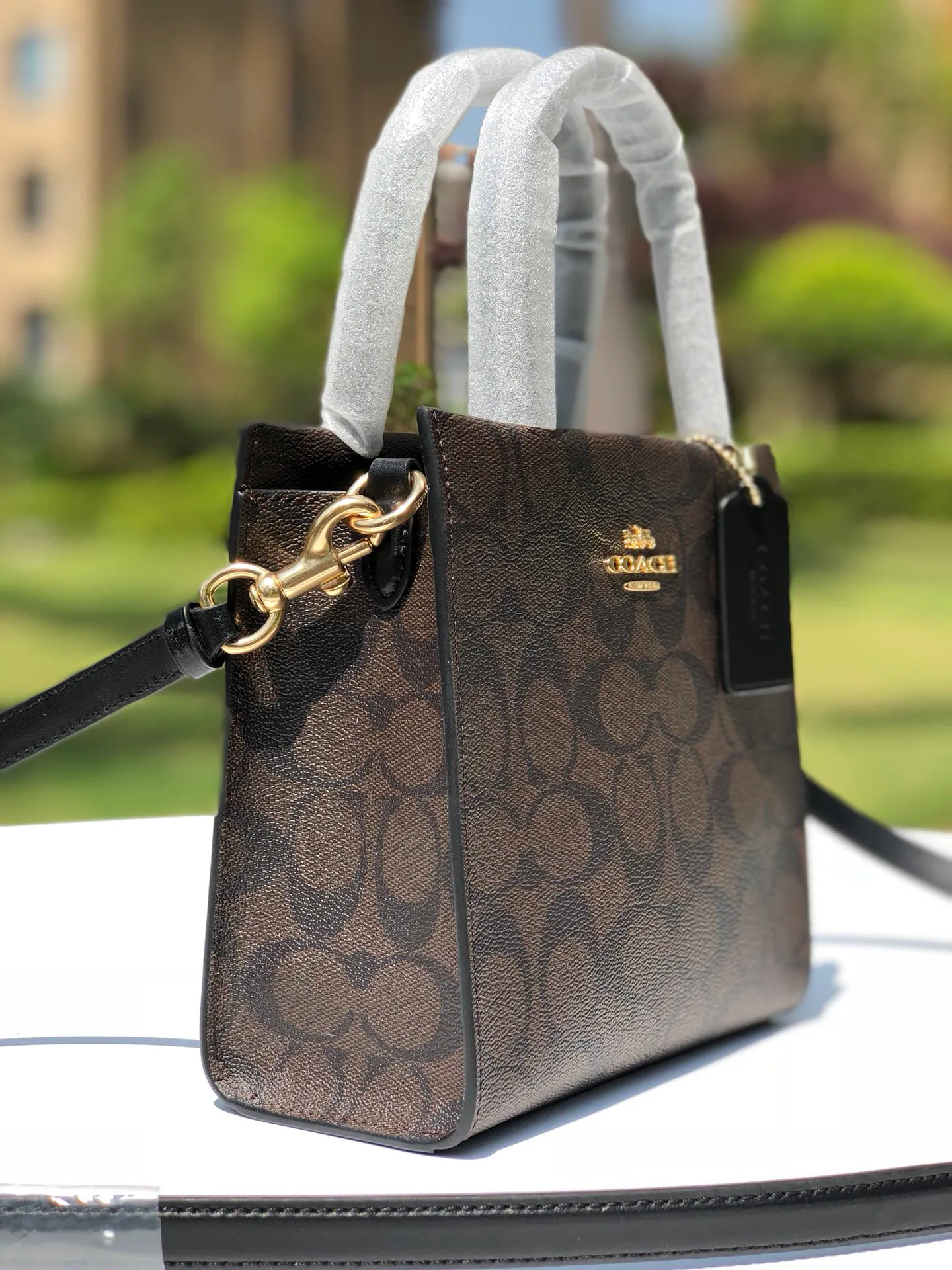 Women's Classic Handbags COACH 17961027