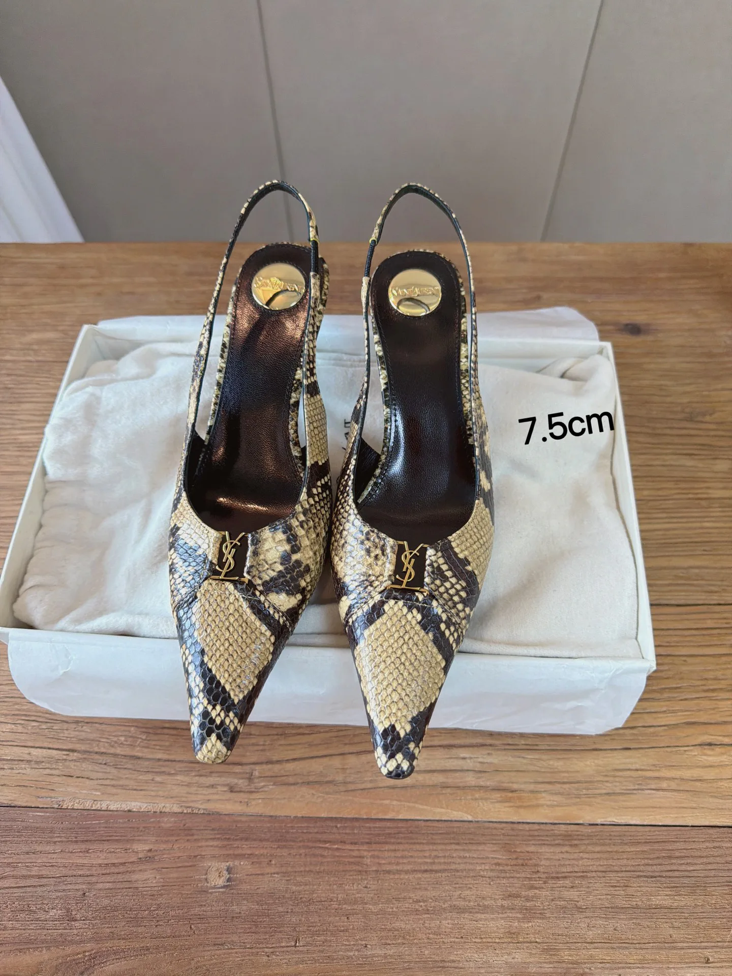 Women's Heels SAINT LAURENT 19528304