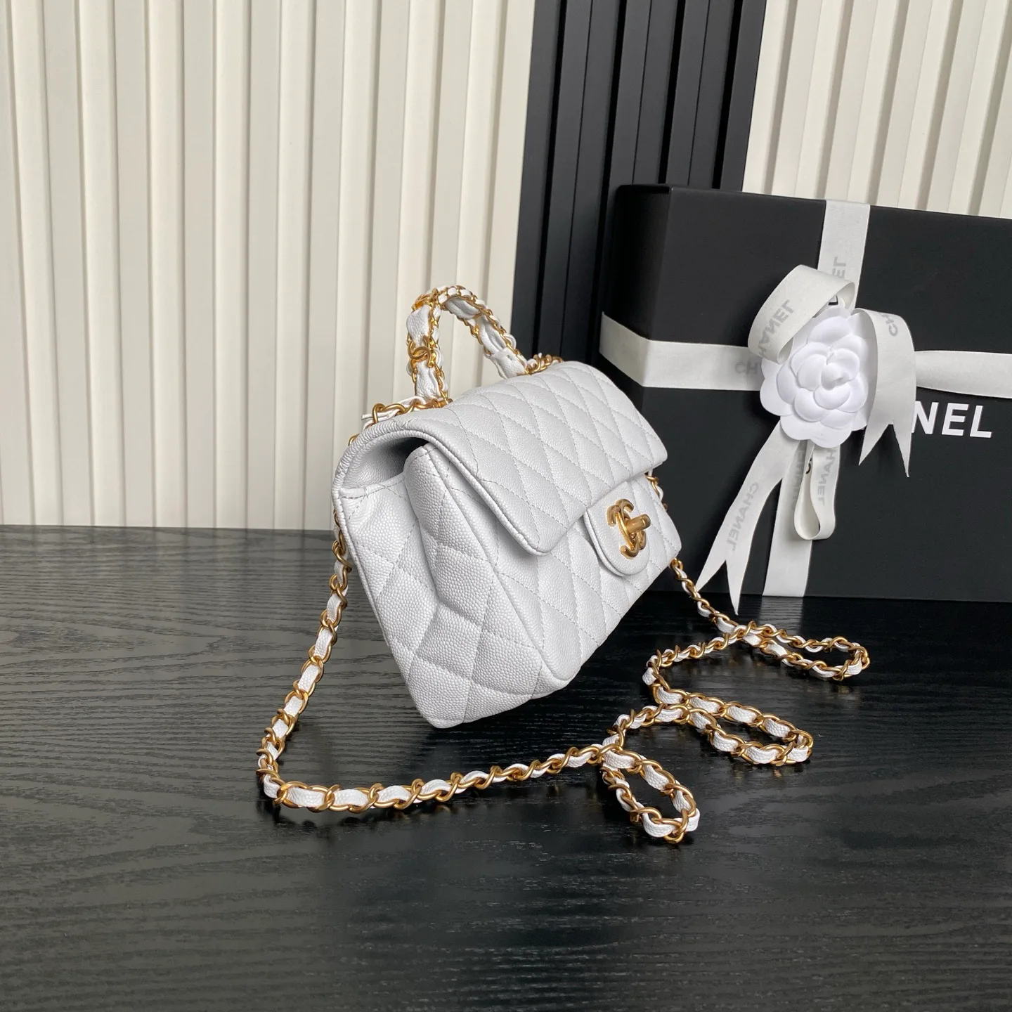Women's Classic Handbags CHANEL 17364563