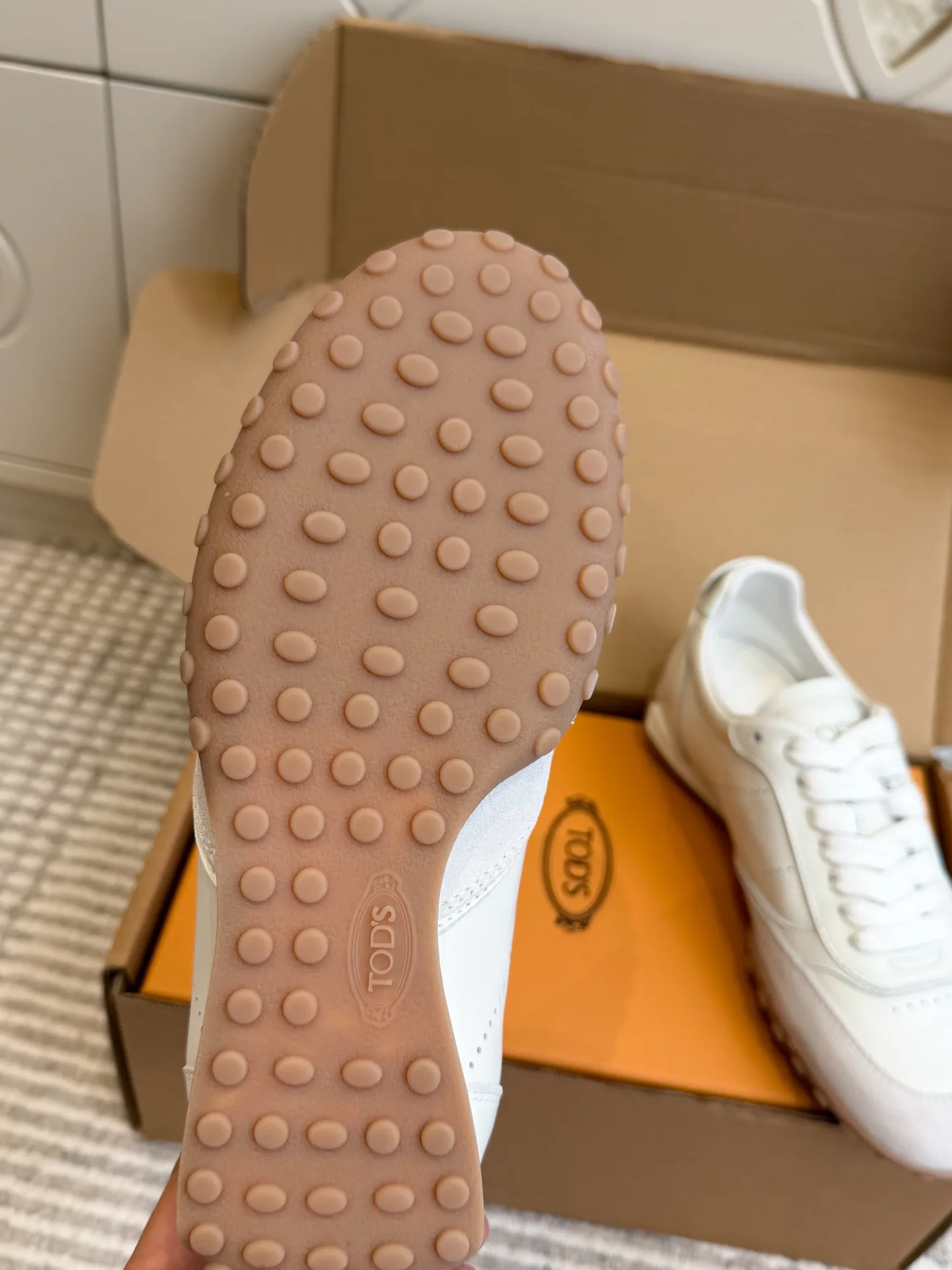 Women's Sneakers TOD'S 18360488