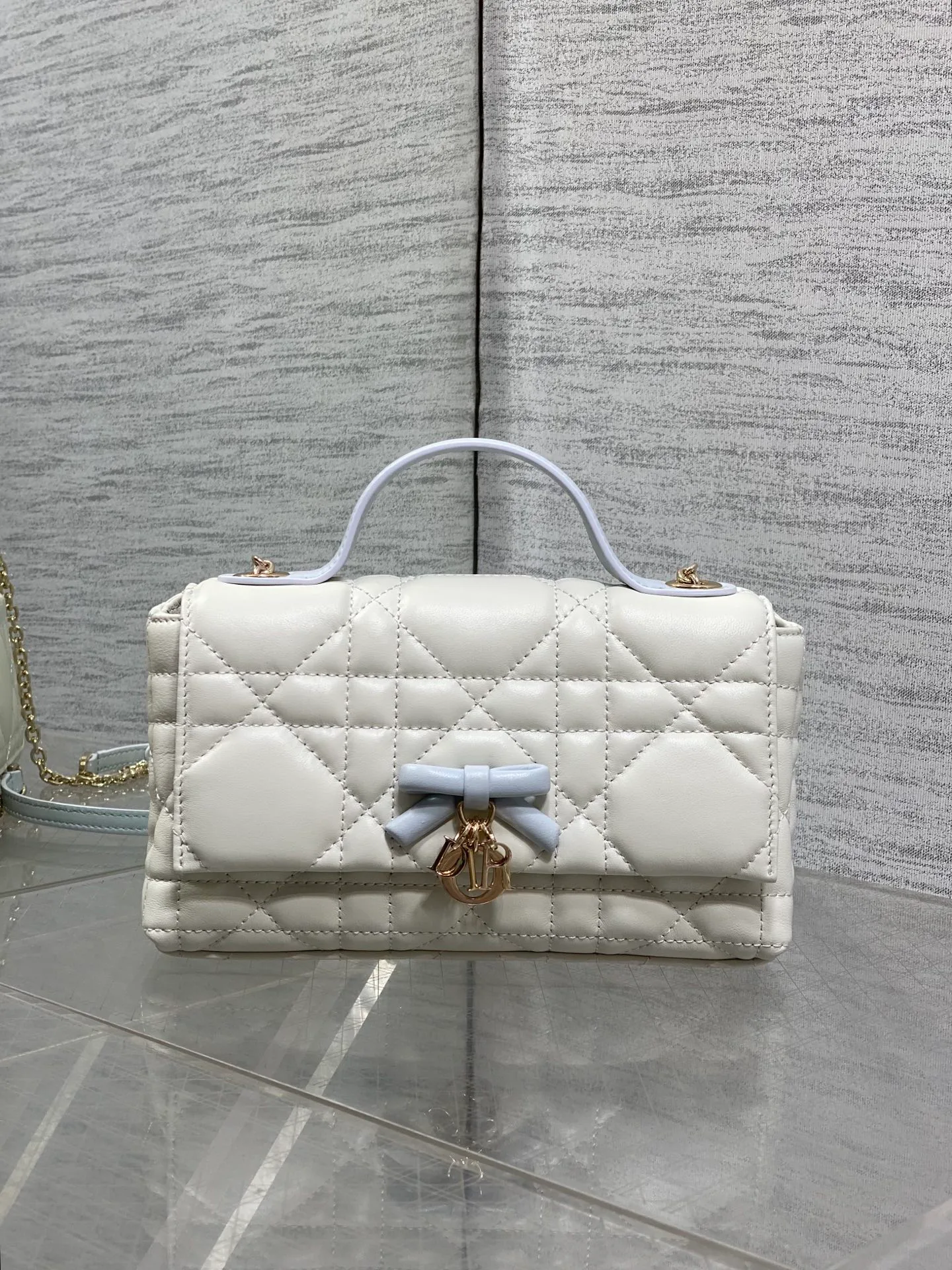 Women's Classic Handbags CHRISTIAN DIOR 17820232