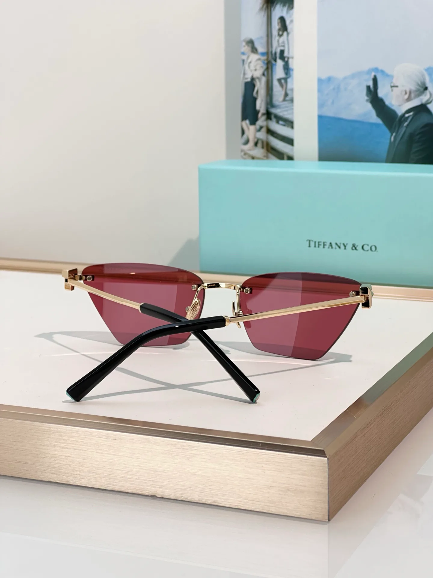 Glasses TIFFANY 18345201