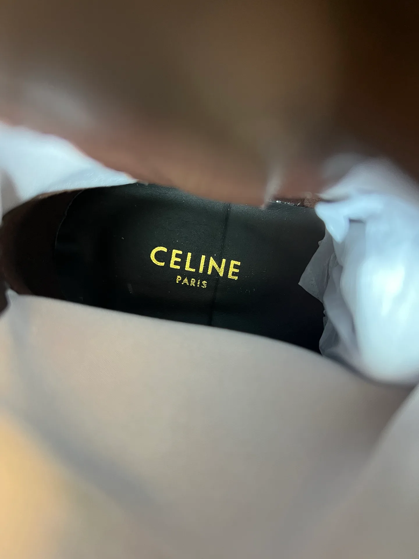Women's Booties CELINE 18509404