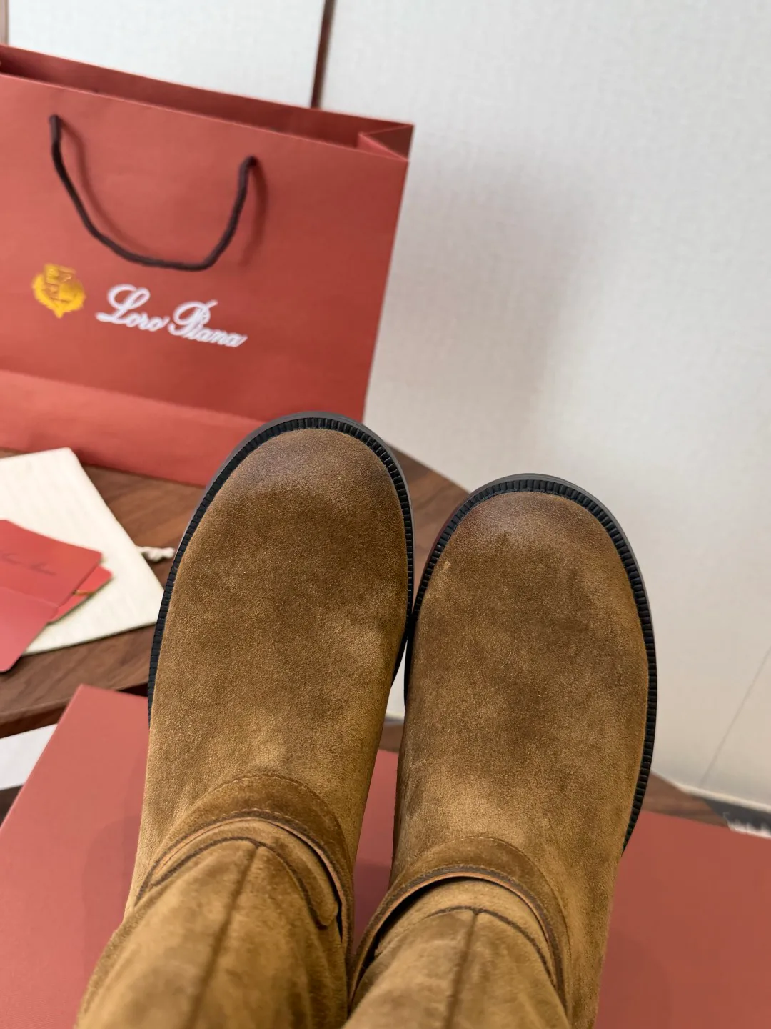 Women's Ankle Boots LORO PIANA 17802207