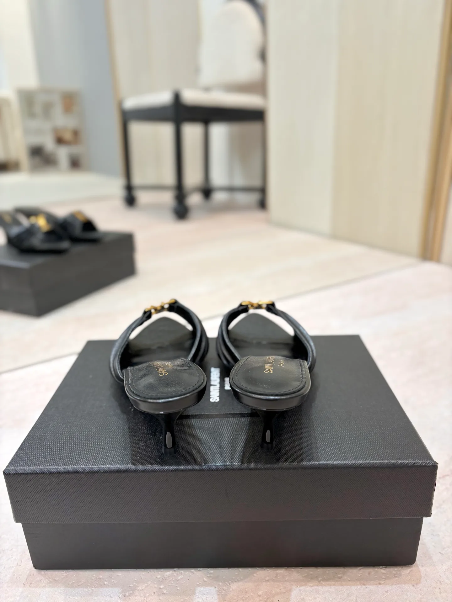 Women's Mules And Clogs SAINT LAURENT 17476042