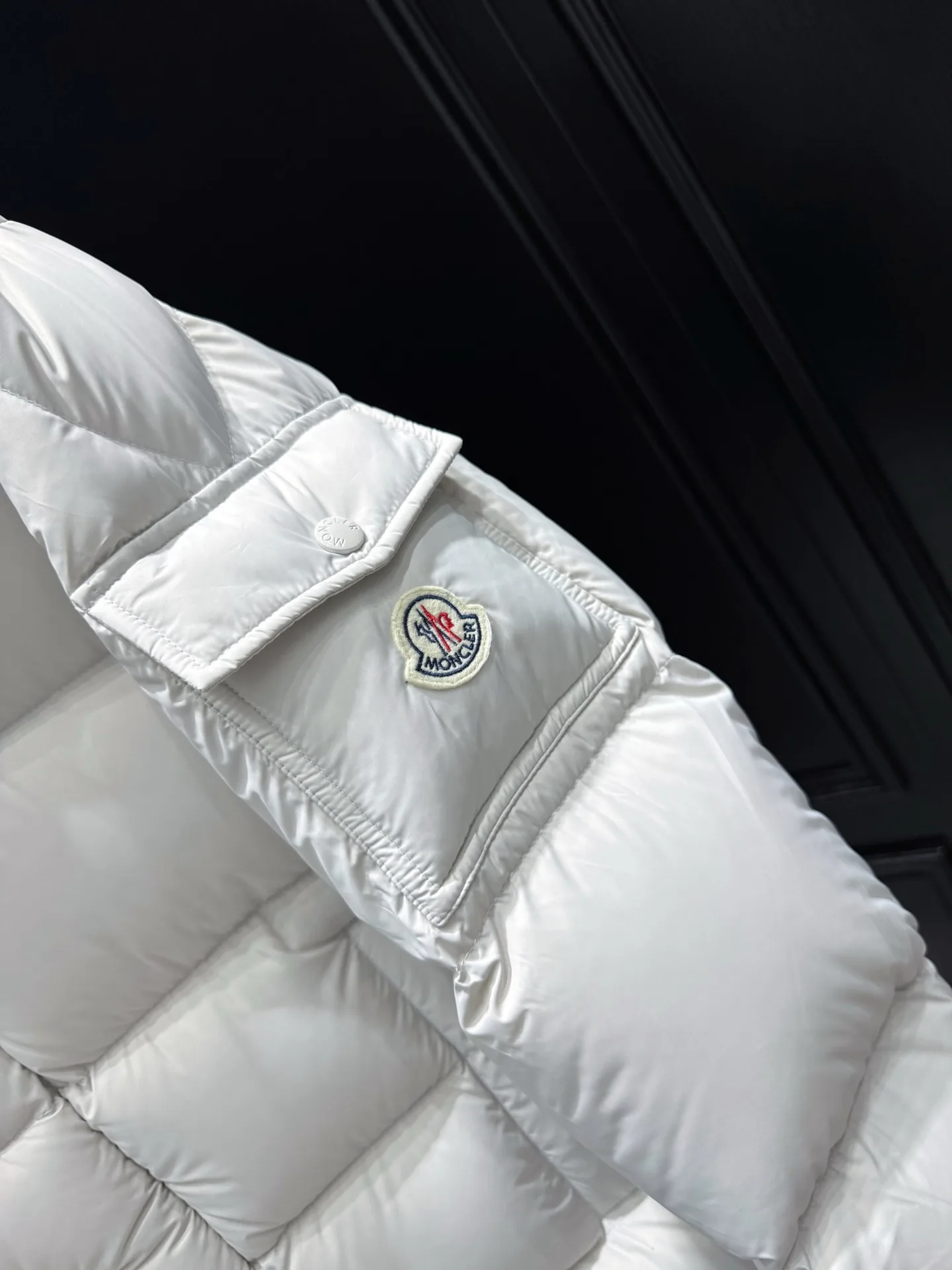 Women's Jackets And Down Jackets MONCLER 18035670
