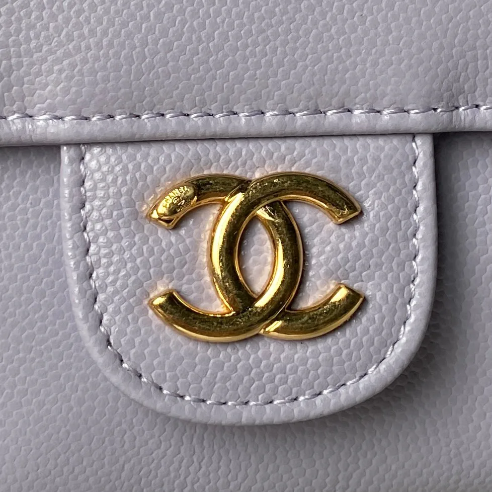 Women's Classic Handbags CHANEL 18207697