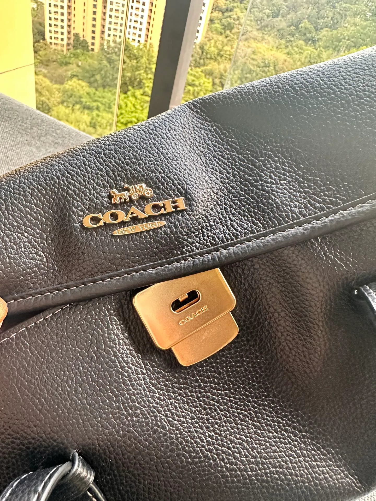 Women's Classic Handbags COACH 17961079