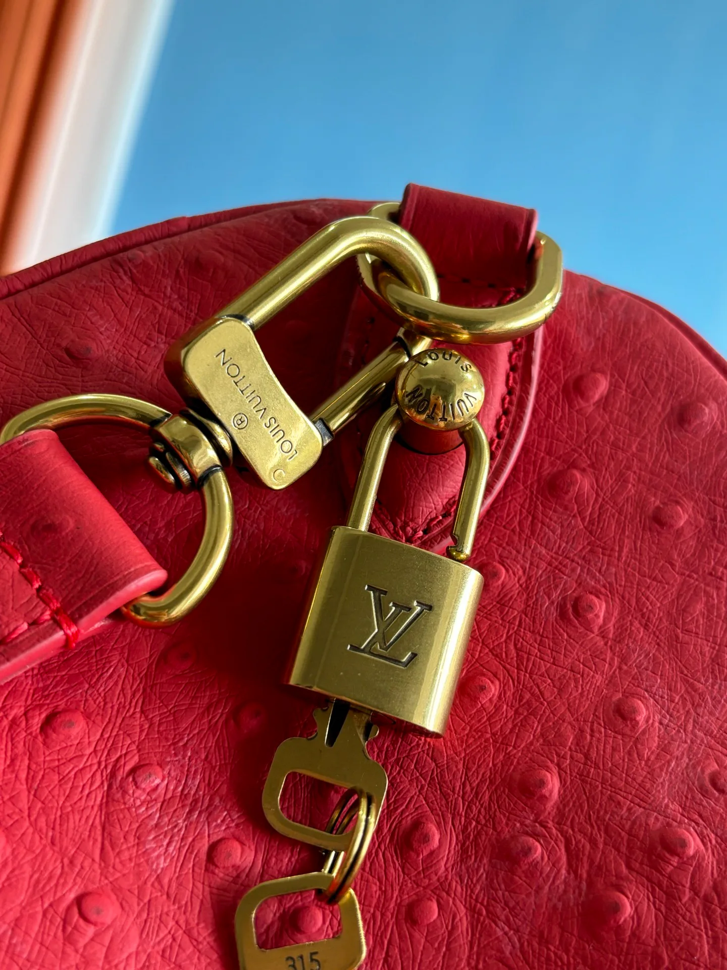 Women's Classic Handbags LOUIS VUITTON 17843666