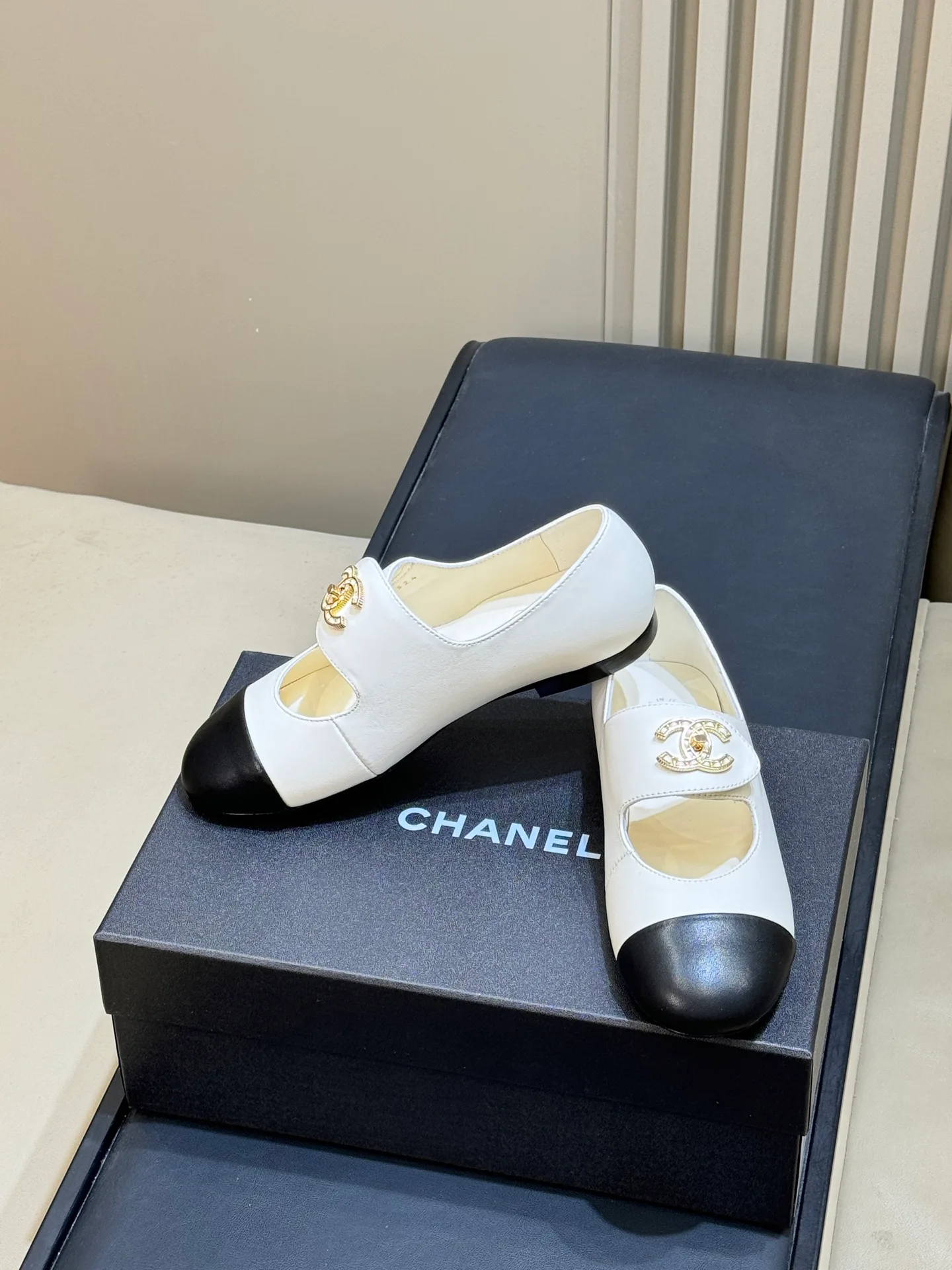 Women's Ballet Flats CHANEL 18072991