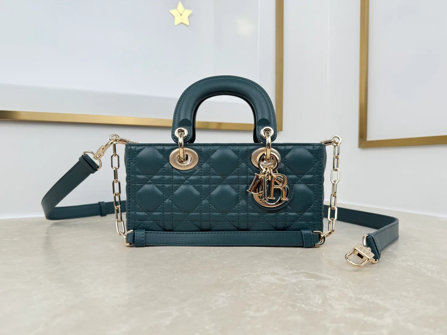 Классические Сумки Женские Christian Dior 18573892