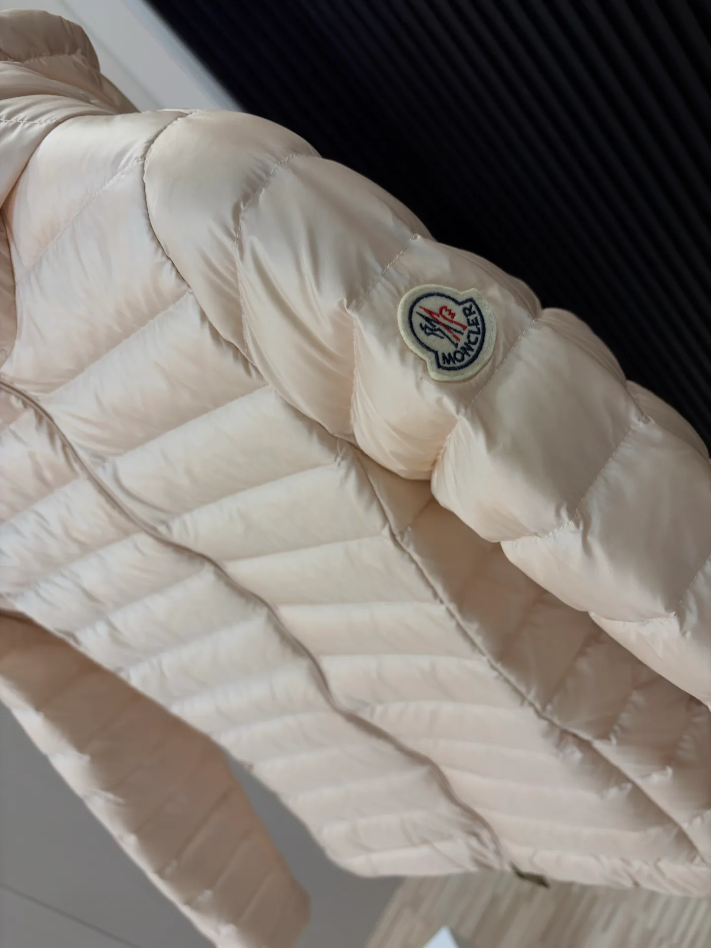 Women's Jackets And Down Jackets MONCLER 18285039