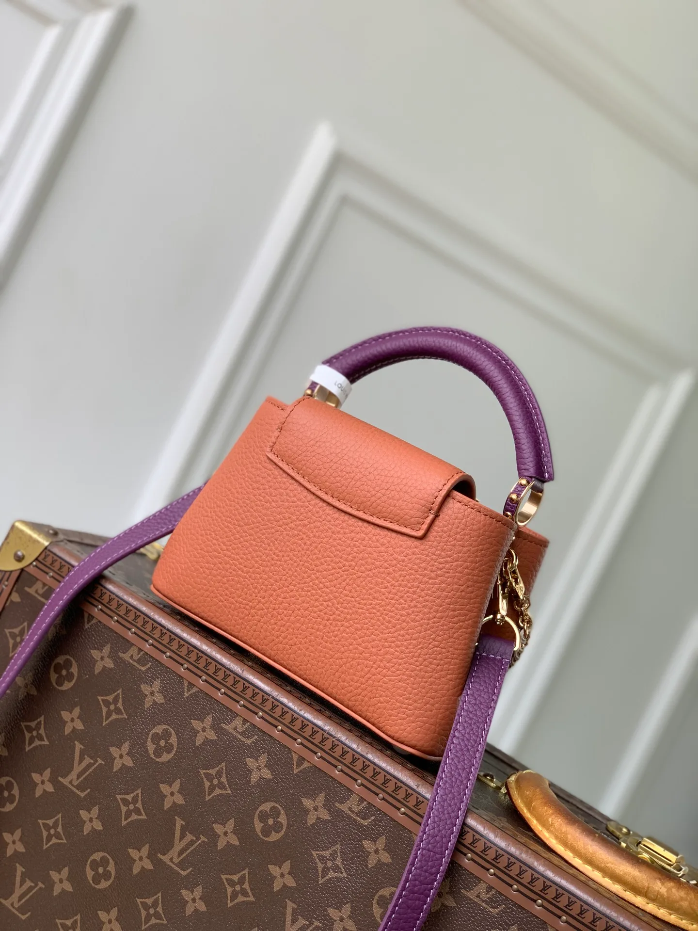Women's Classic Handbags LOUIS VUITTON 18147580