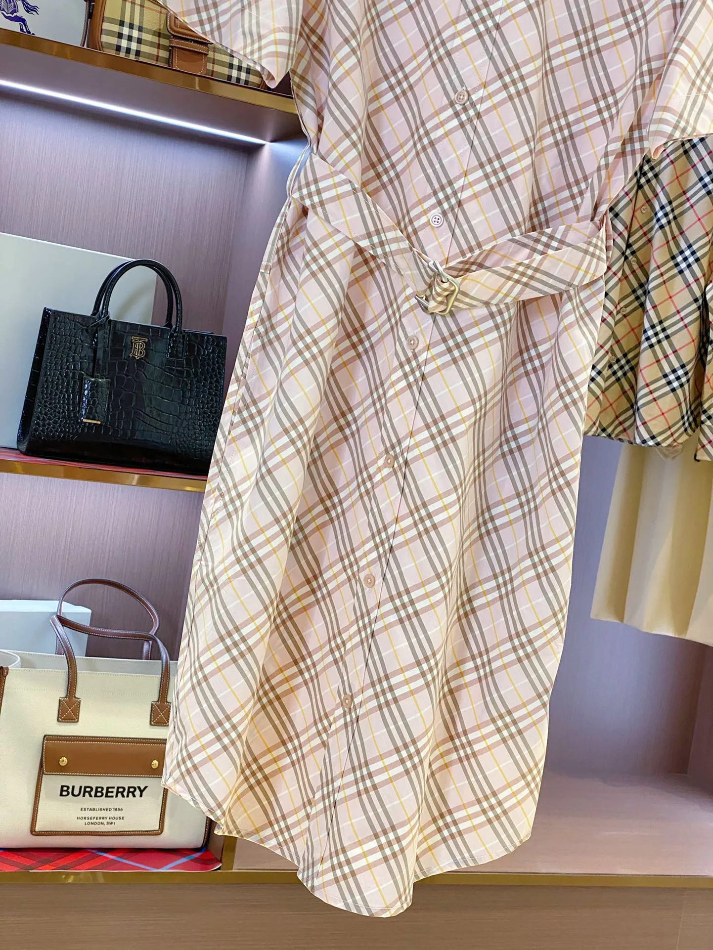 Women's Dresses BURBERRY 17361076