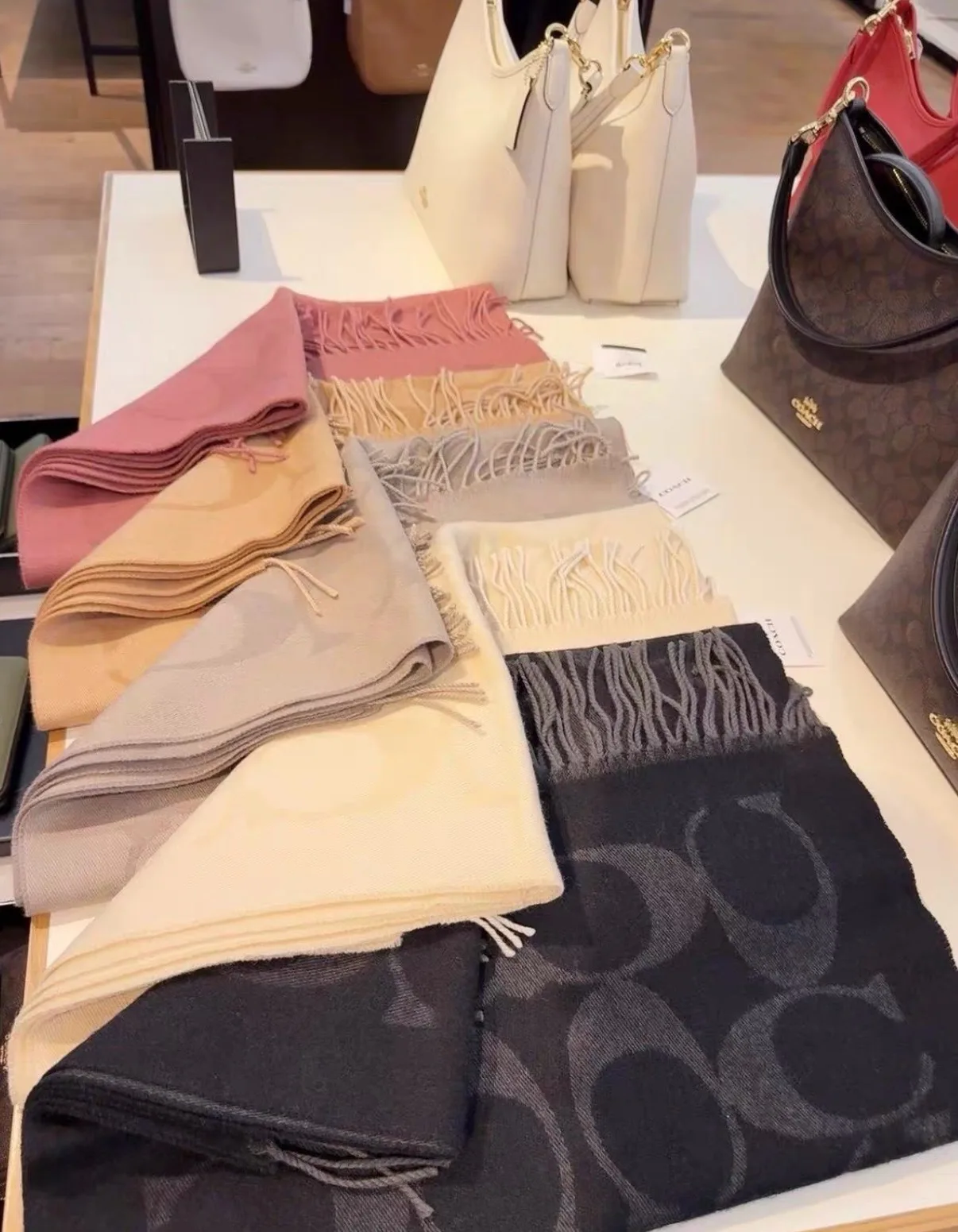 Scarves COACH 17926364