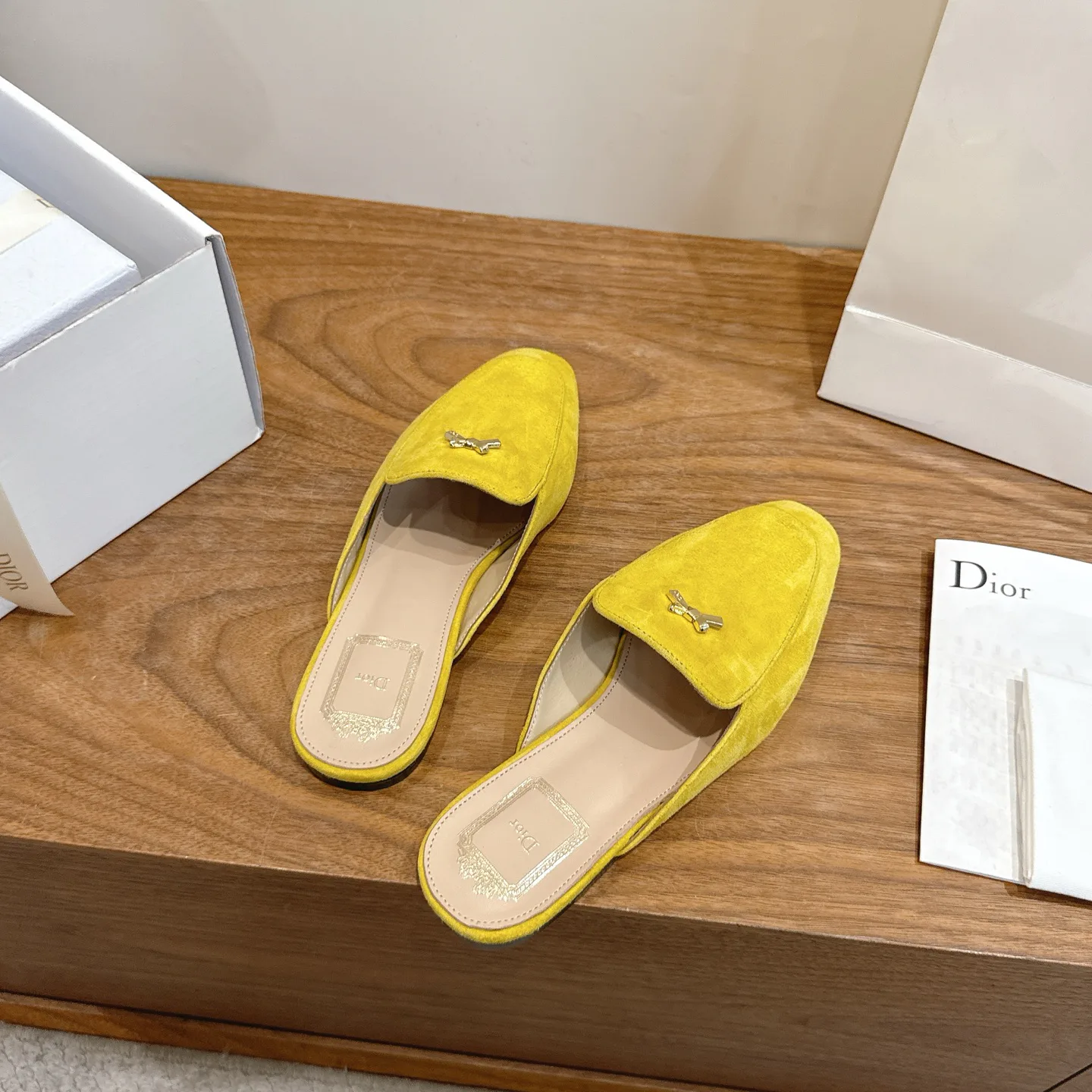 Women's Mules And Clogs CHRISTIAN DIOR 17947099