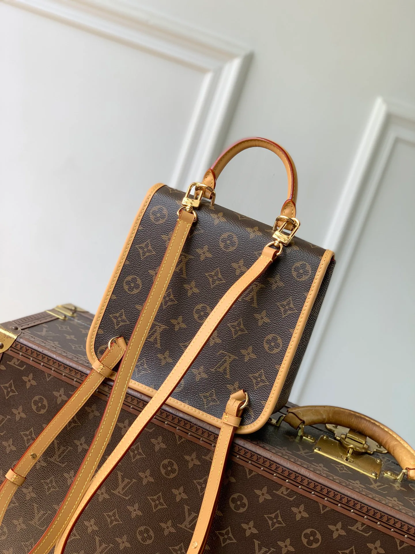 Women's Backpacks LOUIS VUITTON 18147465