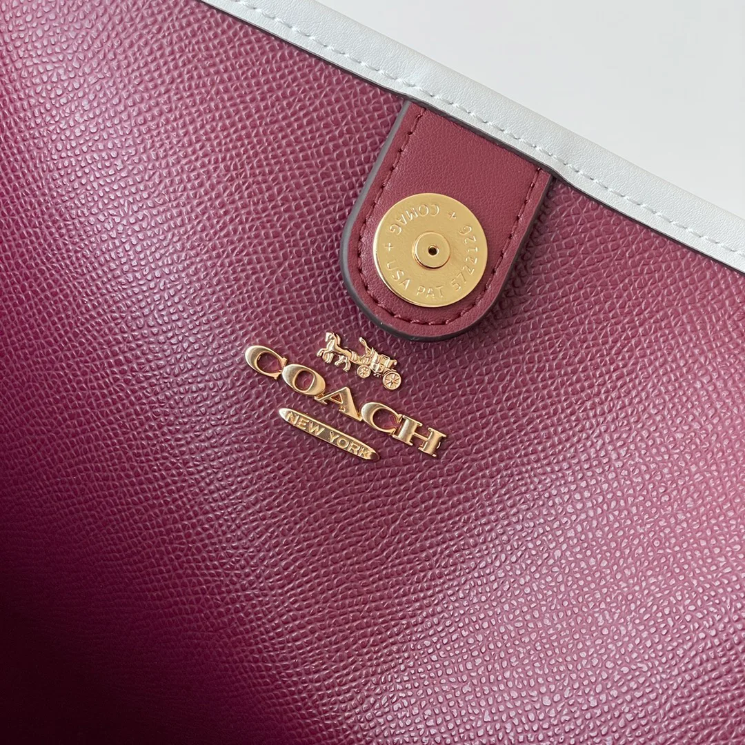Women's Classic Handbags COACH 17961058