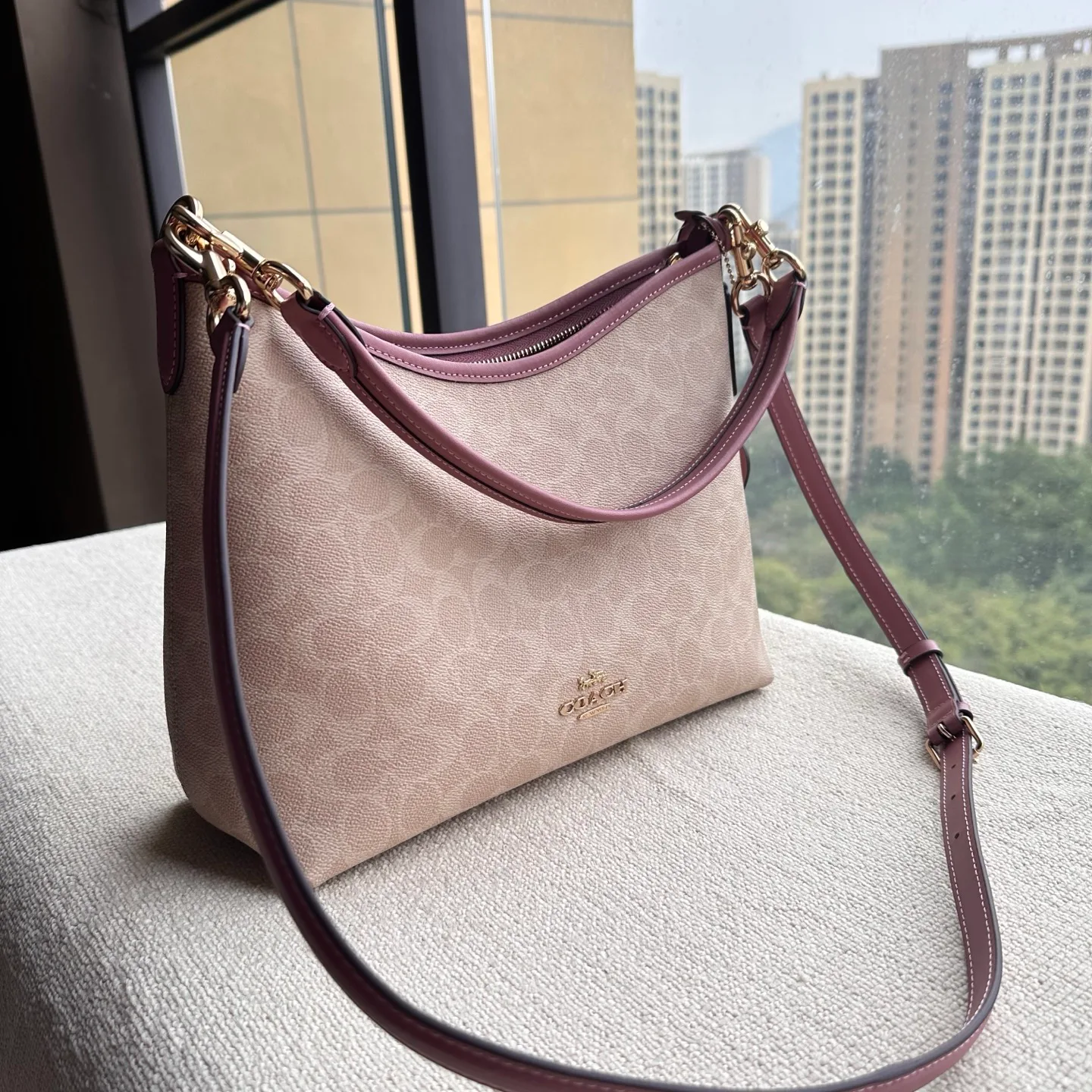 Women's Classic Handbags COACH 17961000