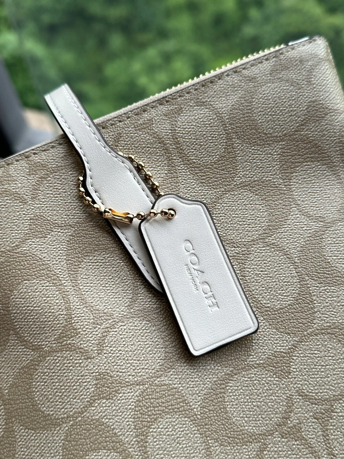 Women's Classic Handbags COACH 17961085