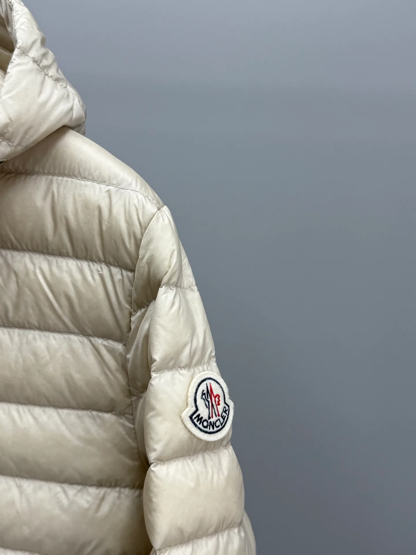 Women's Jackets And Down Jackets MONCLER 18017036