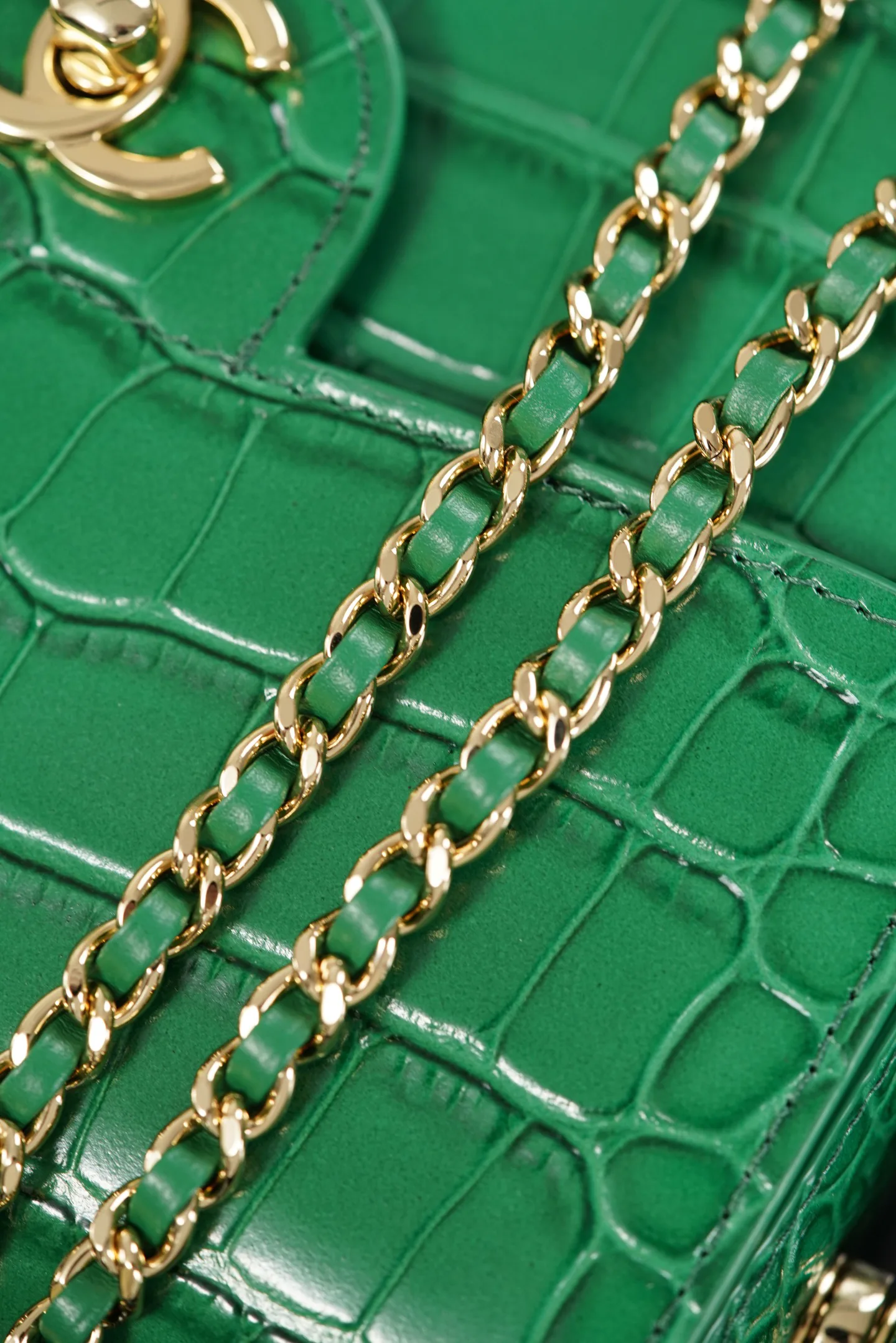Women's Classic Handbags CHANEL 17979617
