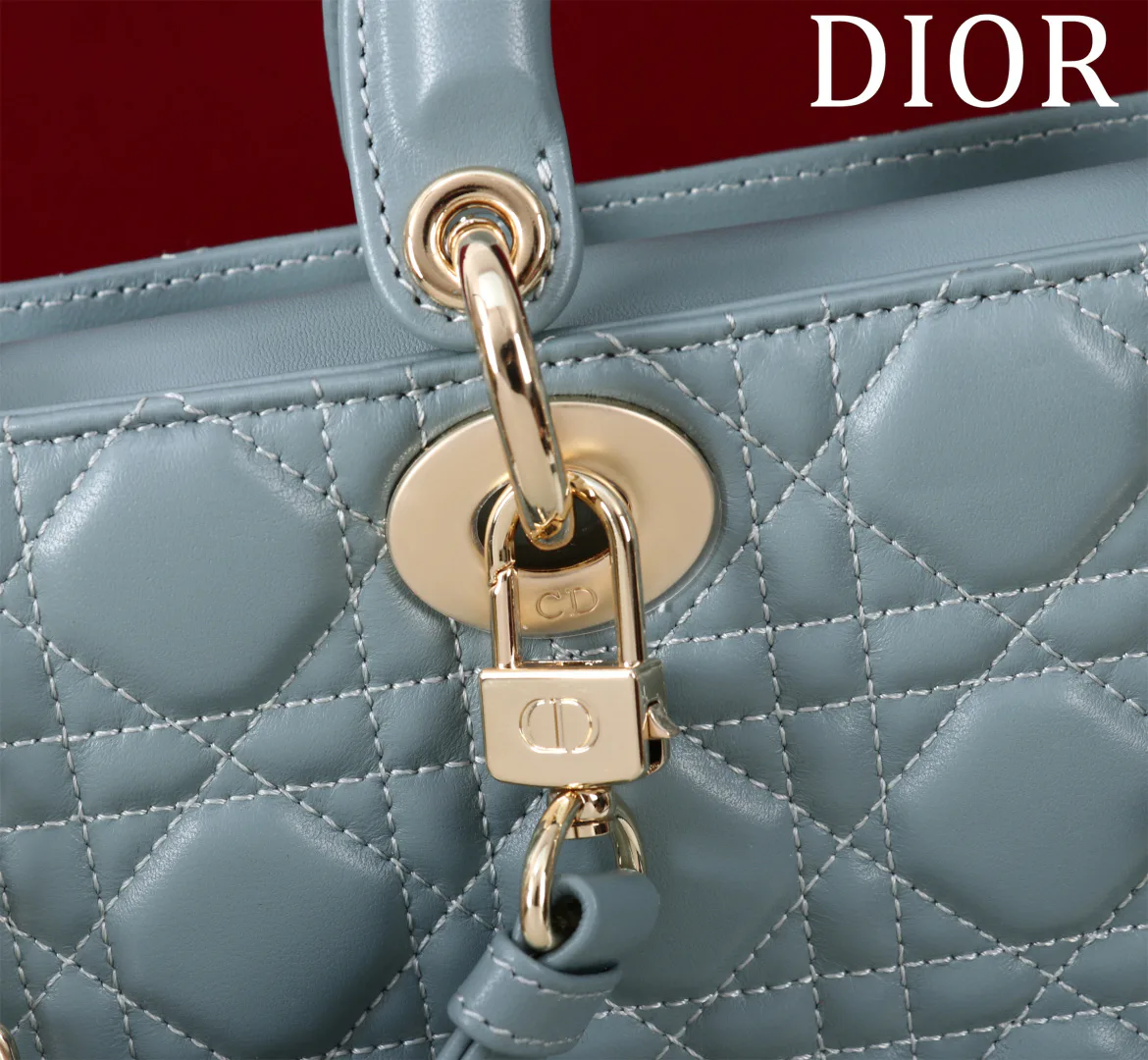 Women's Classic Handbags CHRISTIAN DIOR 18393001