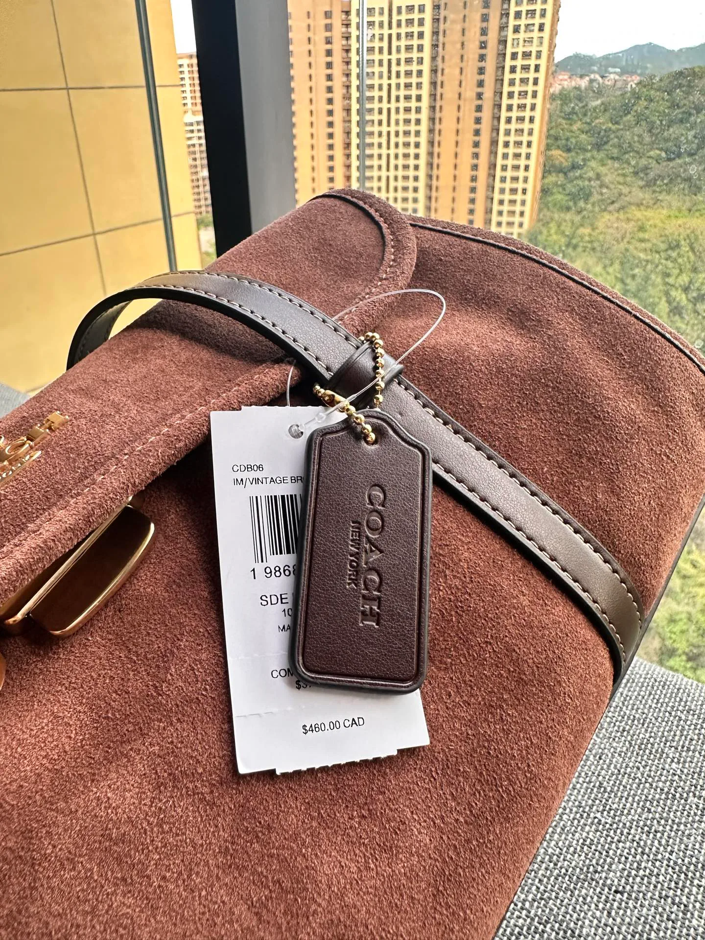 Women's Classic Handbags COACH 17961078