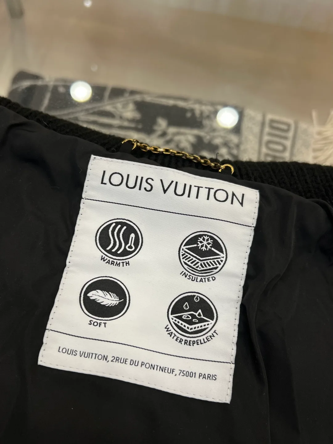 Men's Jackets And Down Jackets LOUIS VUITTON 17480504