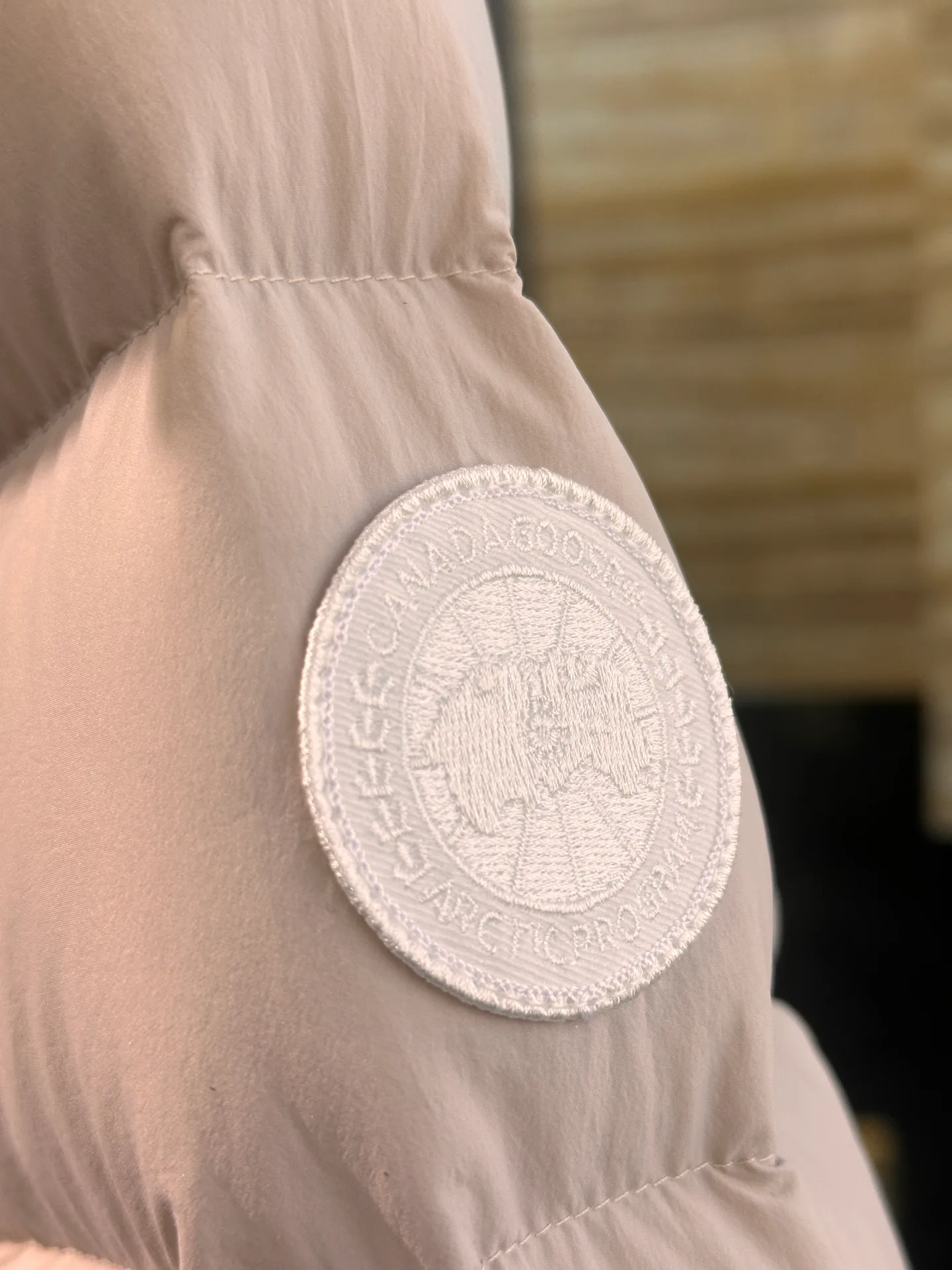 Women's Jackets And Down Jackets CANADA GOOSE 17822625