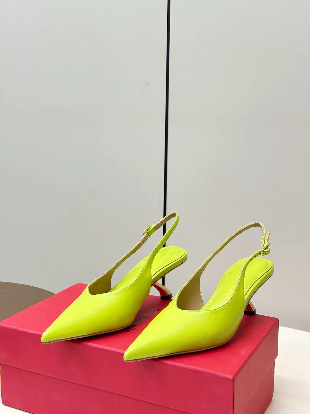Women's Heels SALVATORE FERRAGAMO 17177458