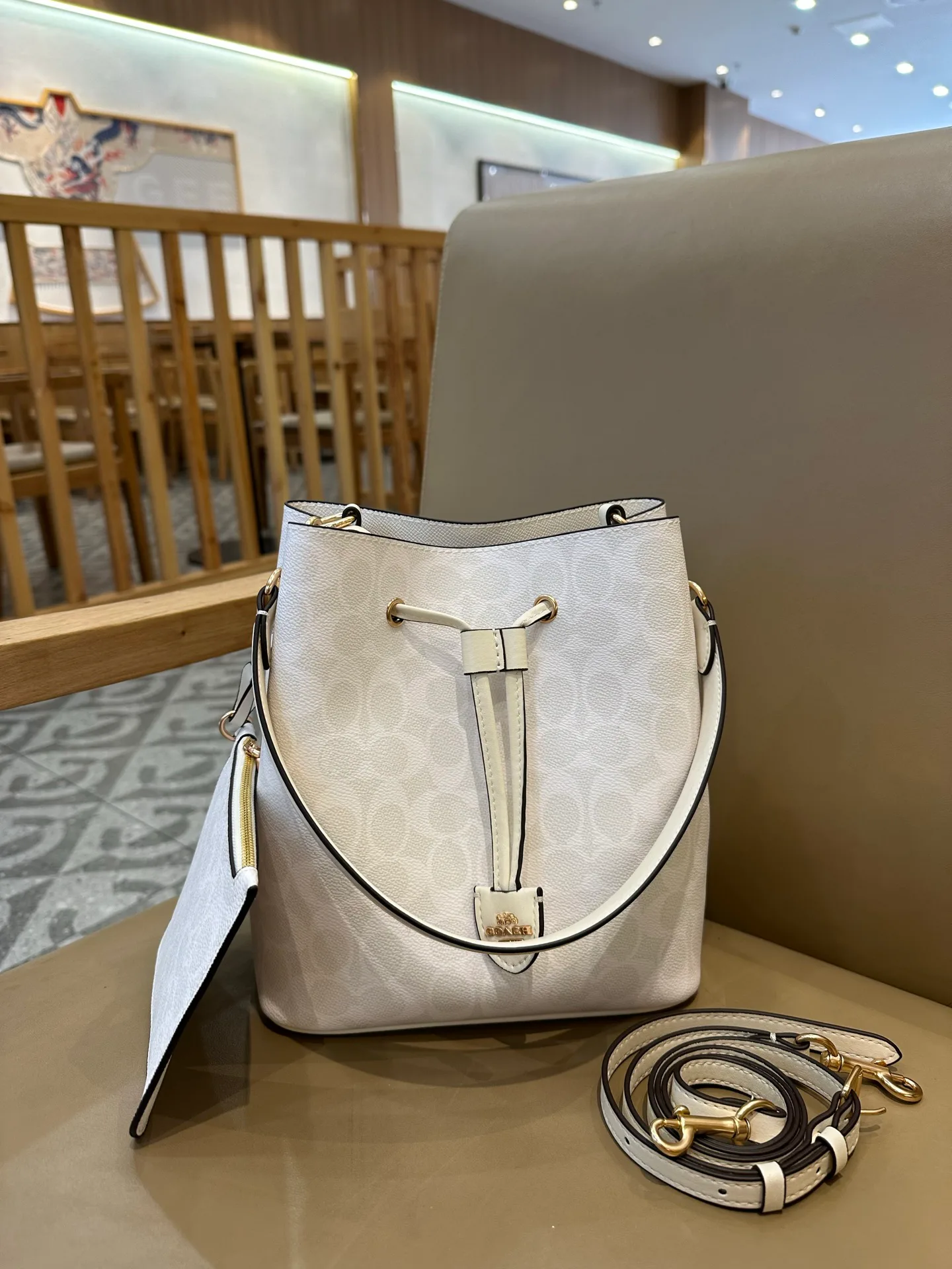 Women's Classic Handbags COACH 17961501