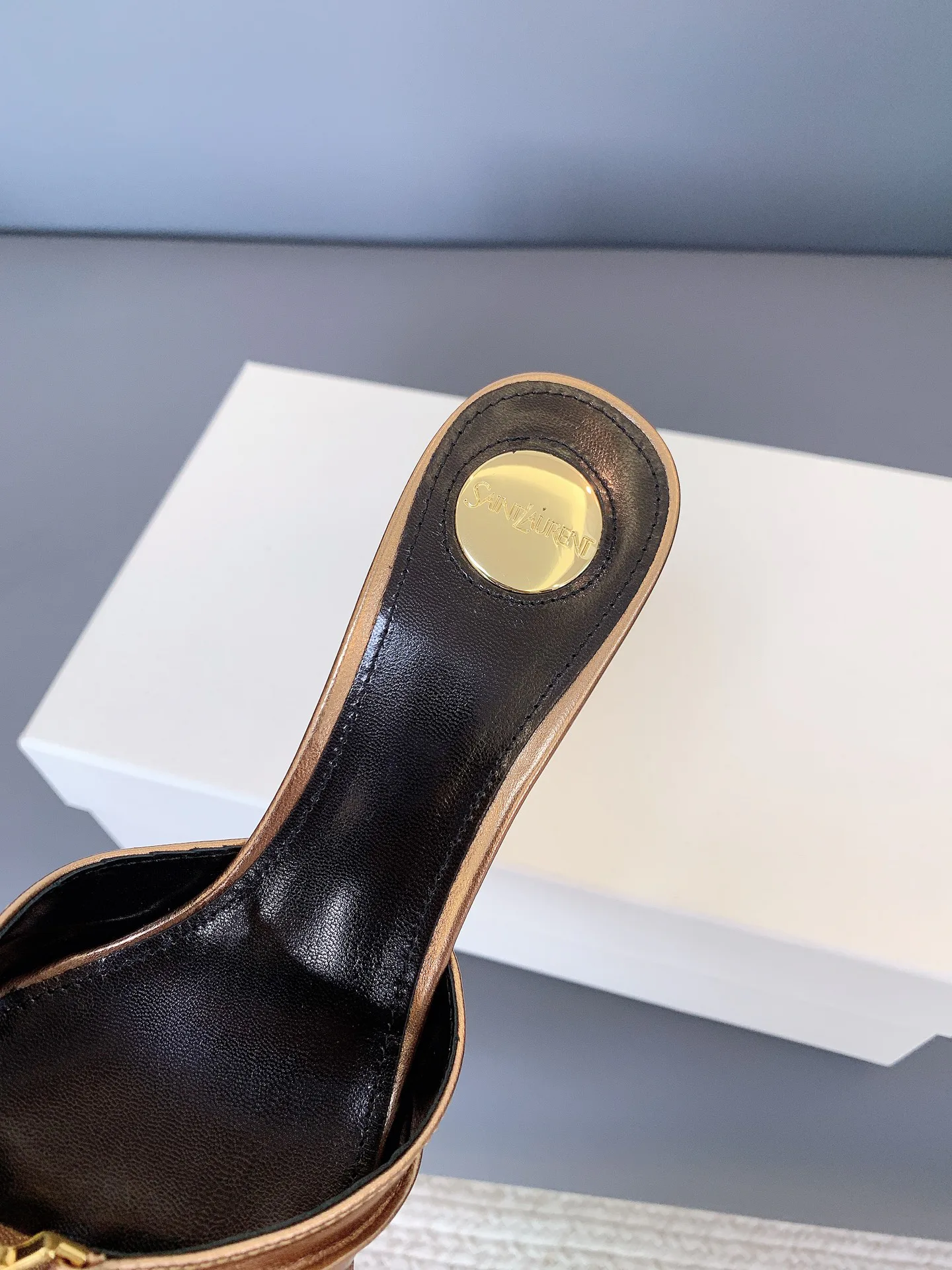 Women's Mules And Clogs SAINT LAURENT 17698103