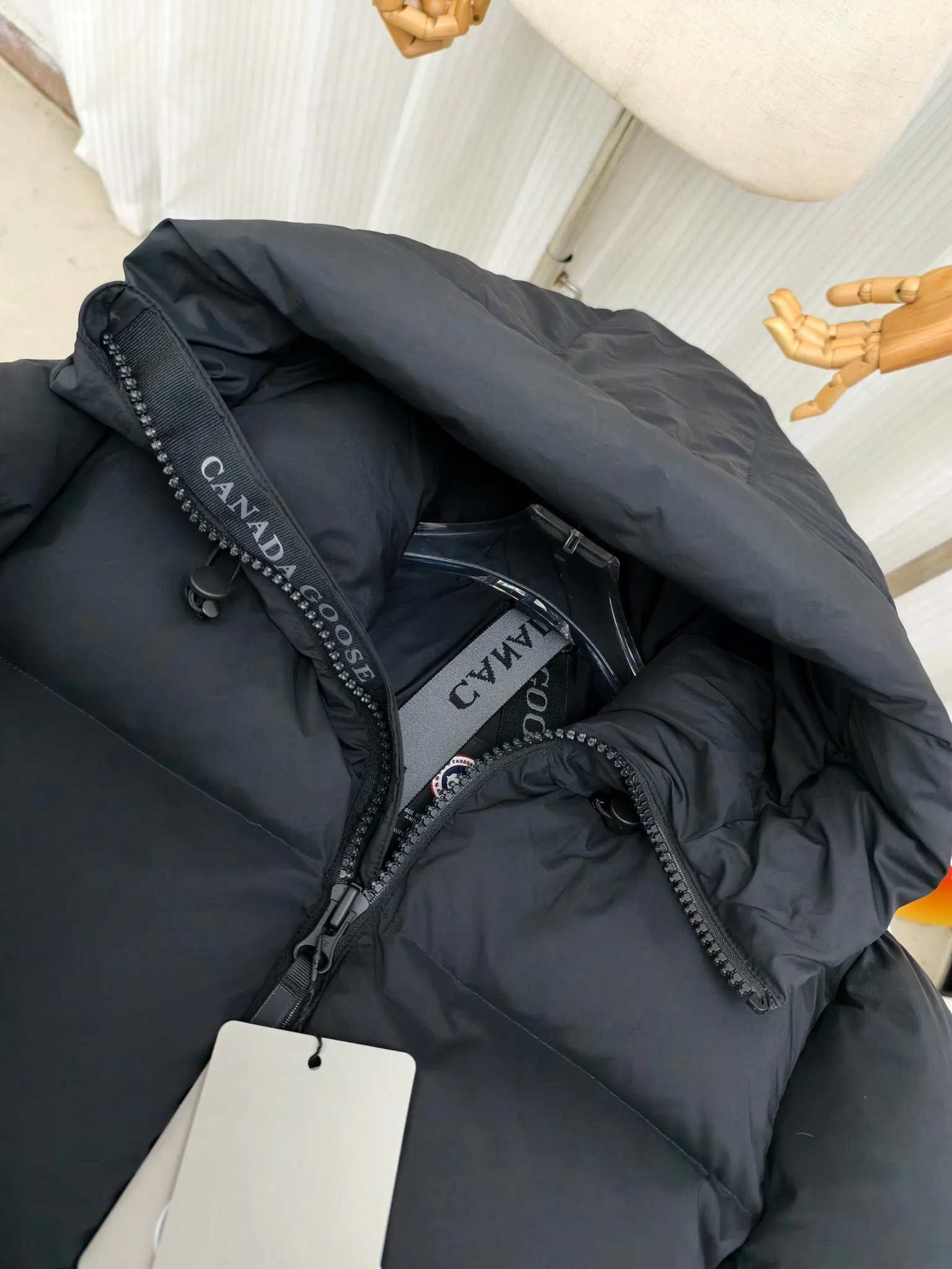 Women's Jackets And Down Jackets CANADA GOOSE 18111599