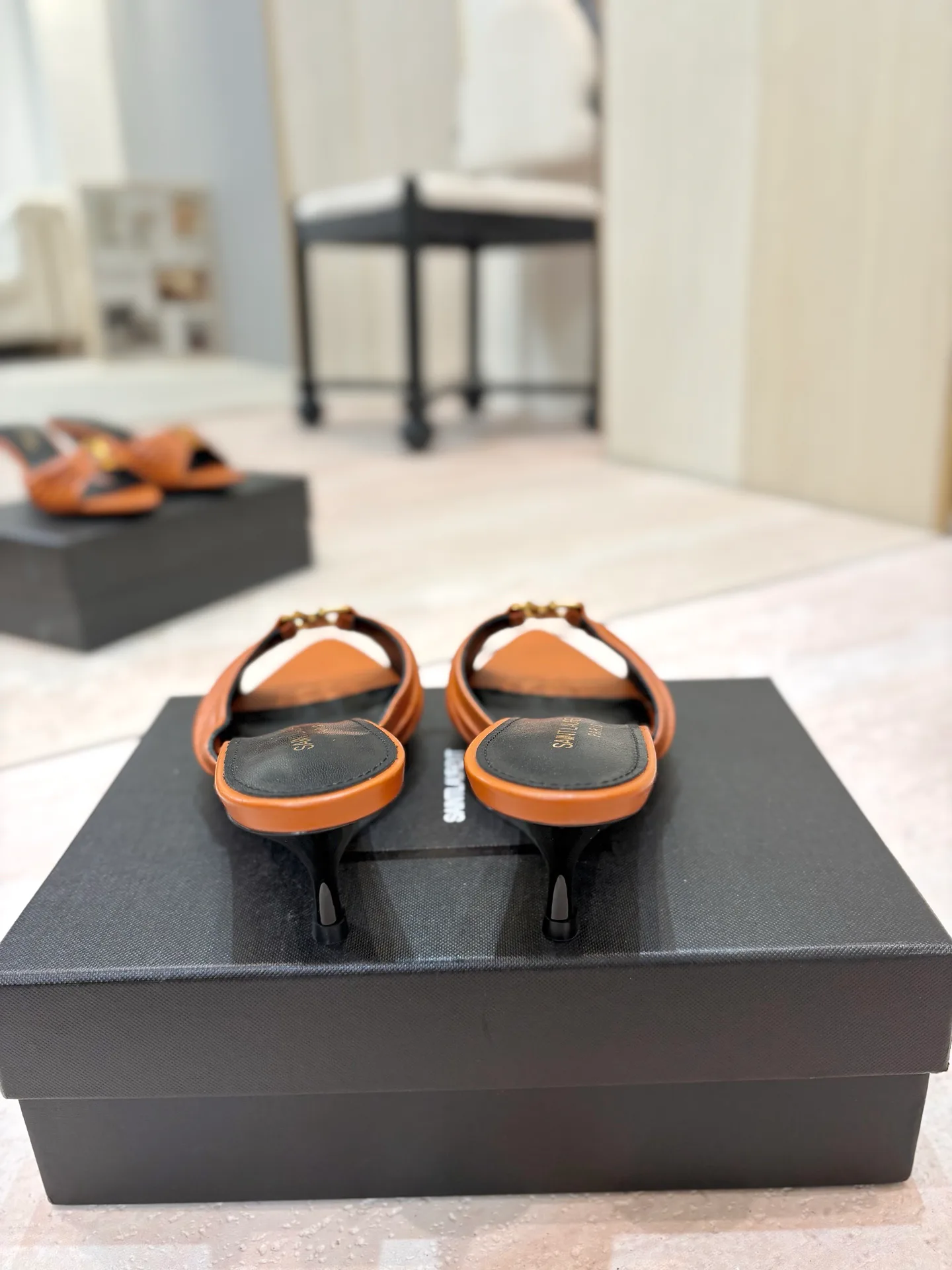 Women's Mules And Clogs SAINT LAURENT 17476037