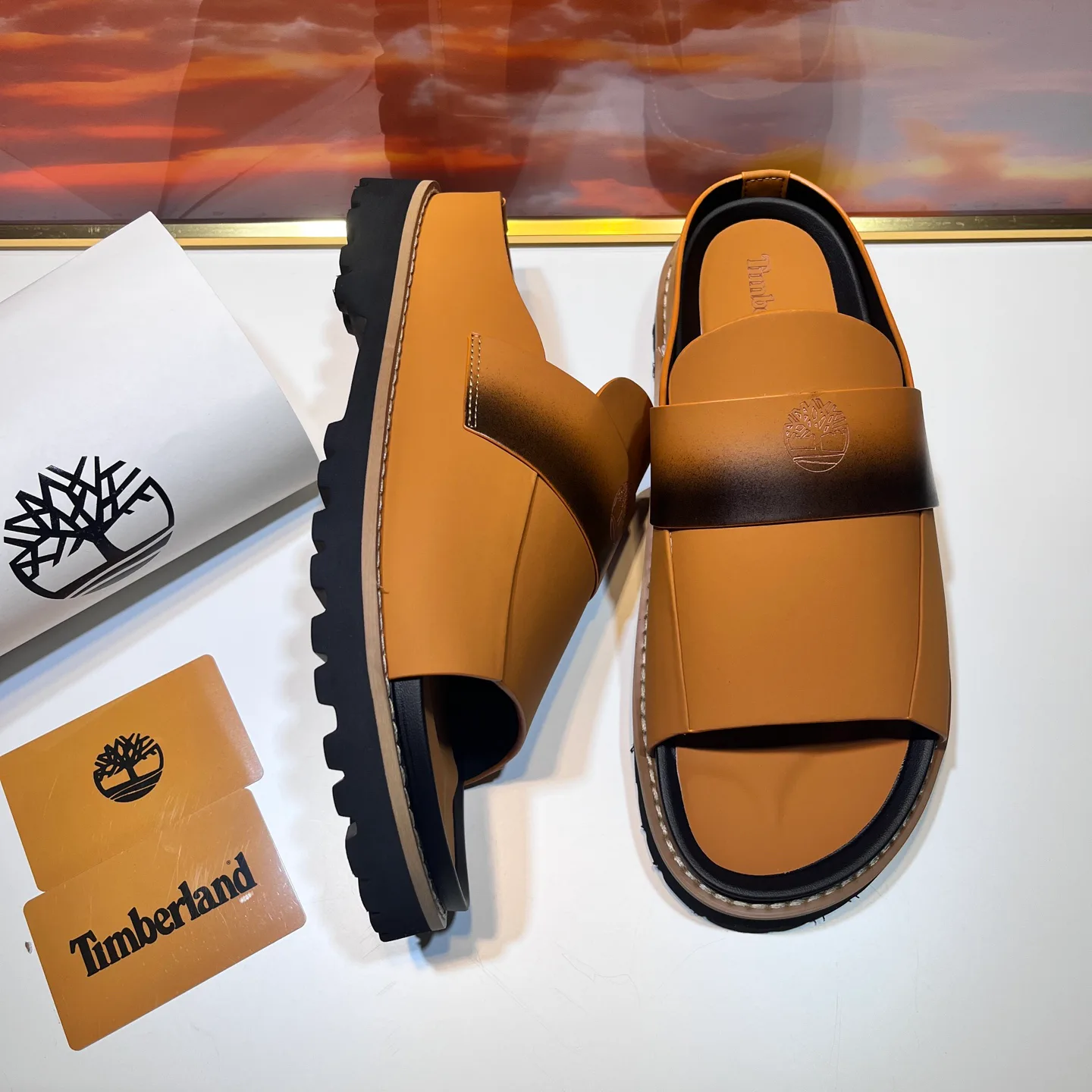 Men's Flip-Flops TIMBERLAND 17955633