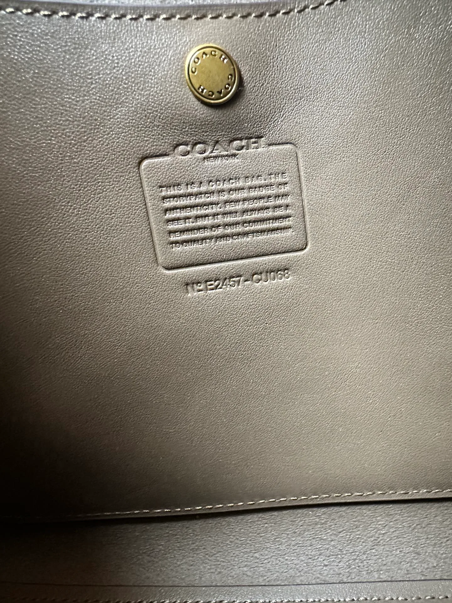 Women's Classic Handbags COACH 18365022