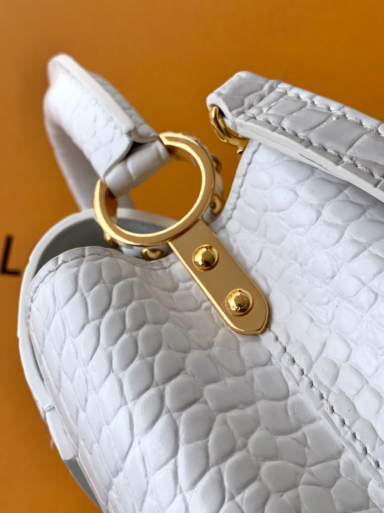 Women's Classic Handbags LOUIS VUITTON 18520923