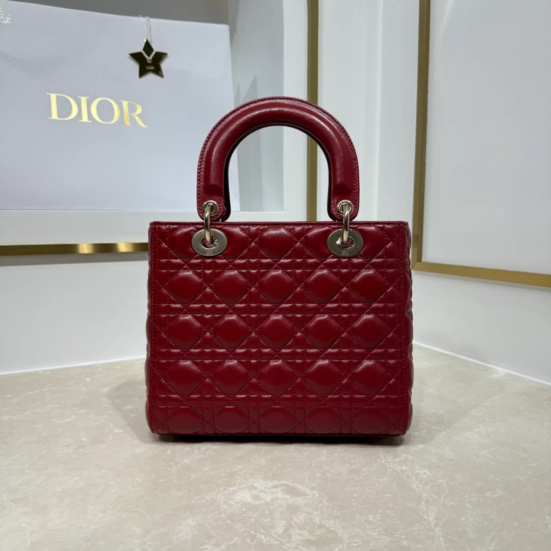 Women's Classic Handbags CHRISTIAN DIOR 17820248