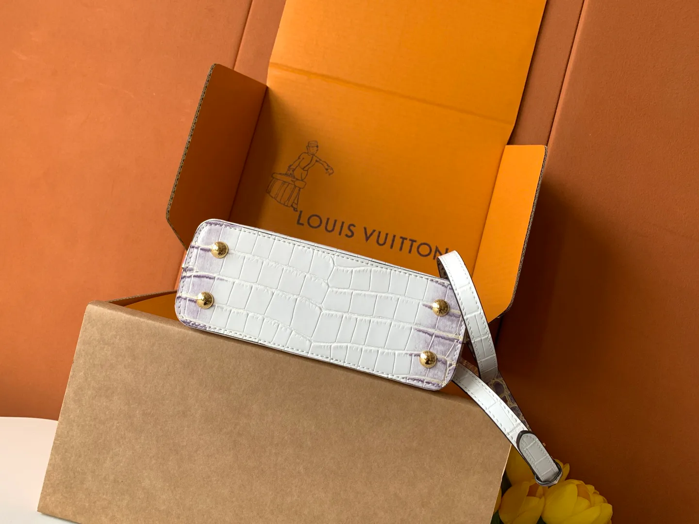 Women's Classic Handbags LOUIS VUITTON 18520909