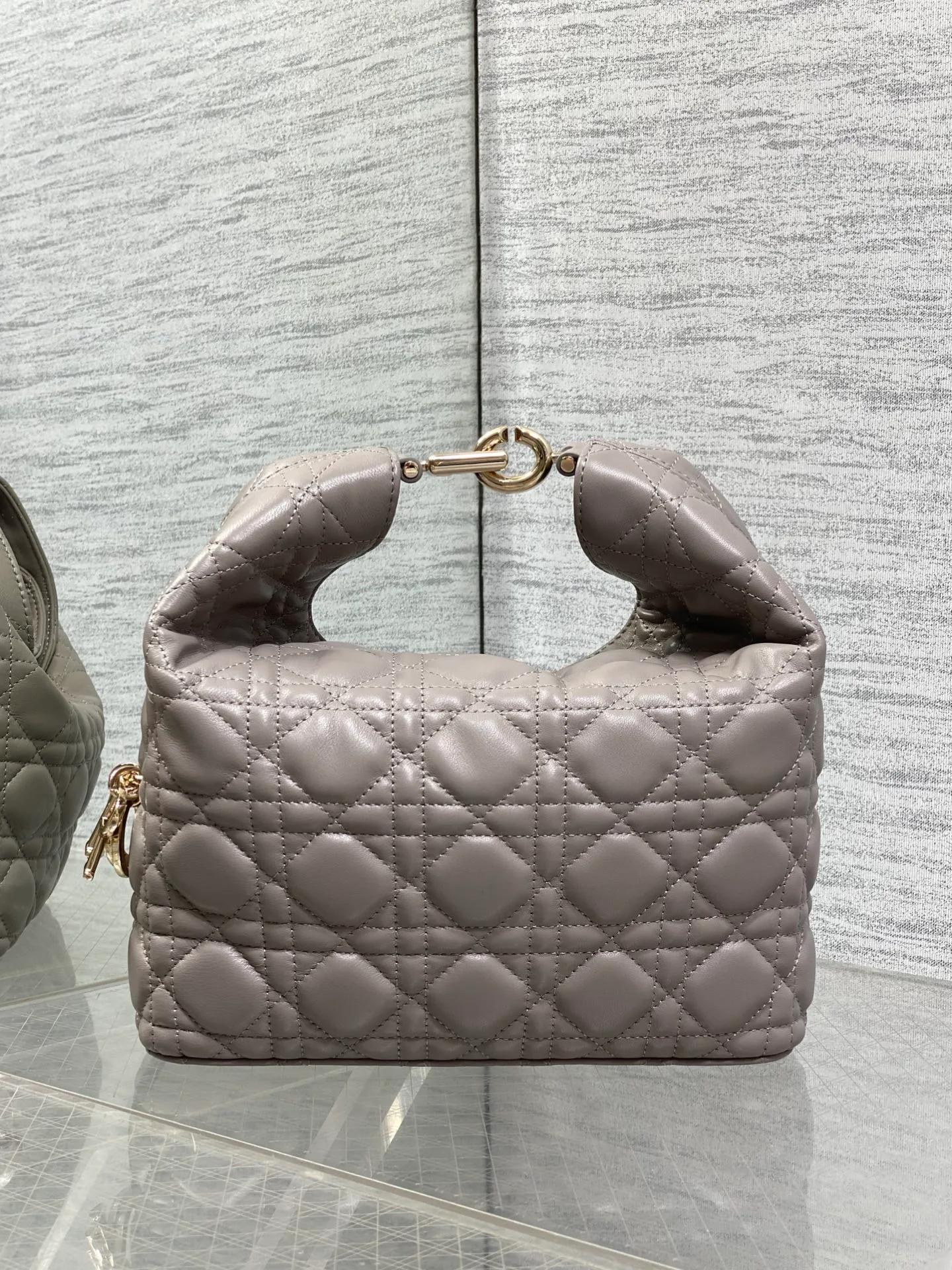 Women's Classic Handbags CHRISTIAN DIOR 18242103